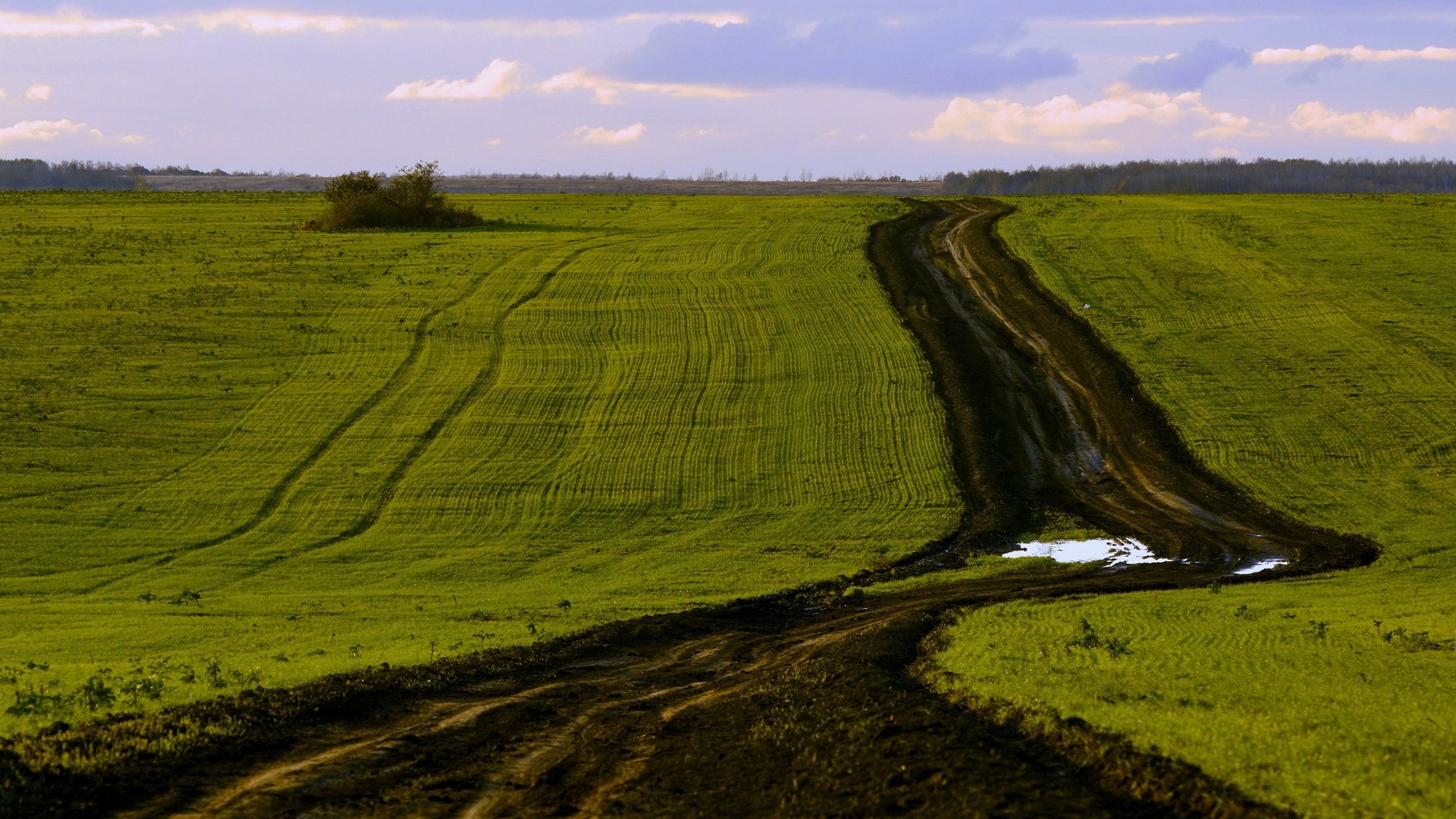 Dirt road through a green field under a cloudy sky HD Wallpaper