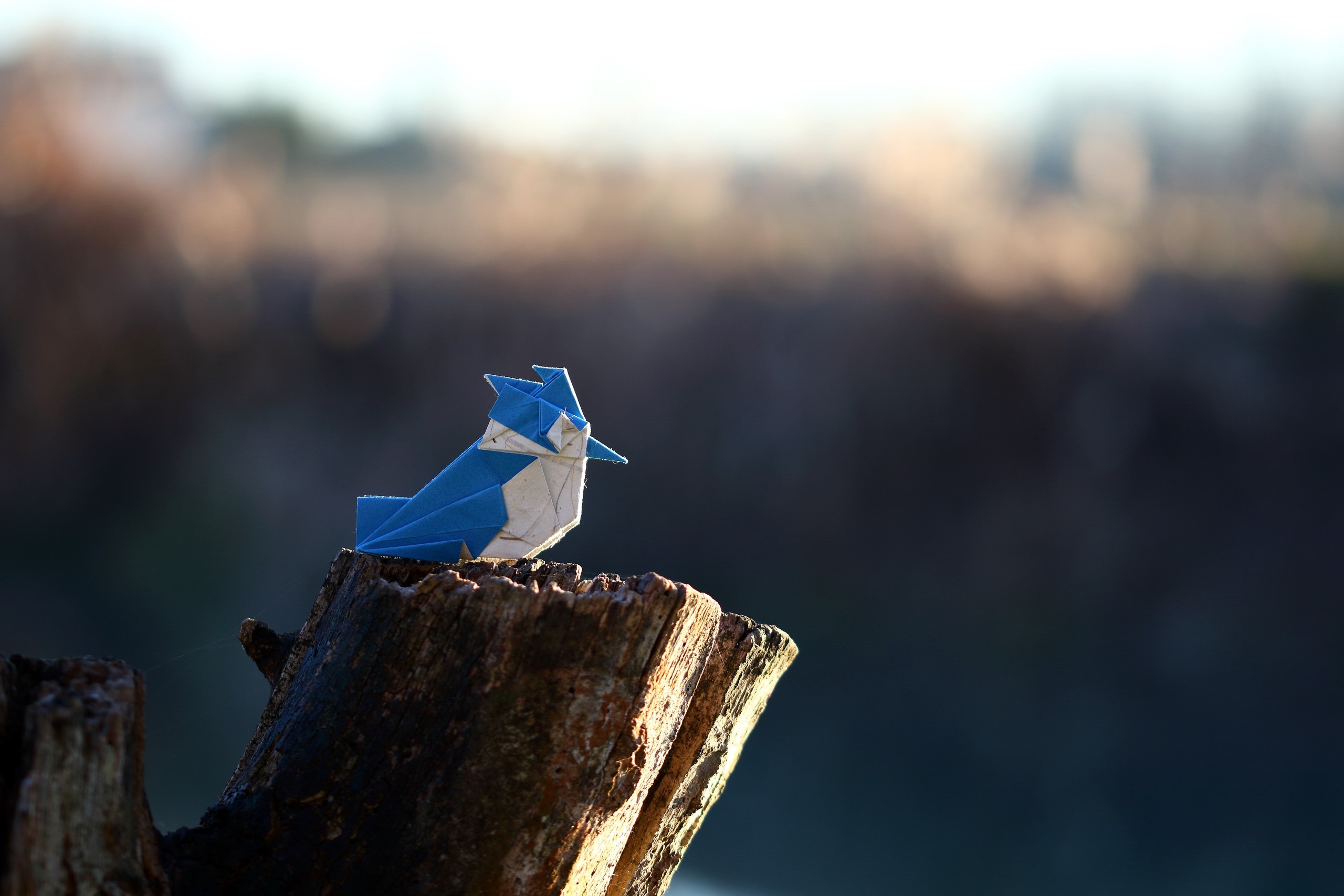 Origami blue jay on a tree stump outdoors HD Wallpaper