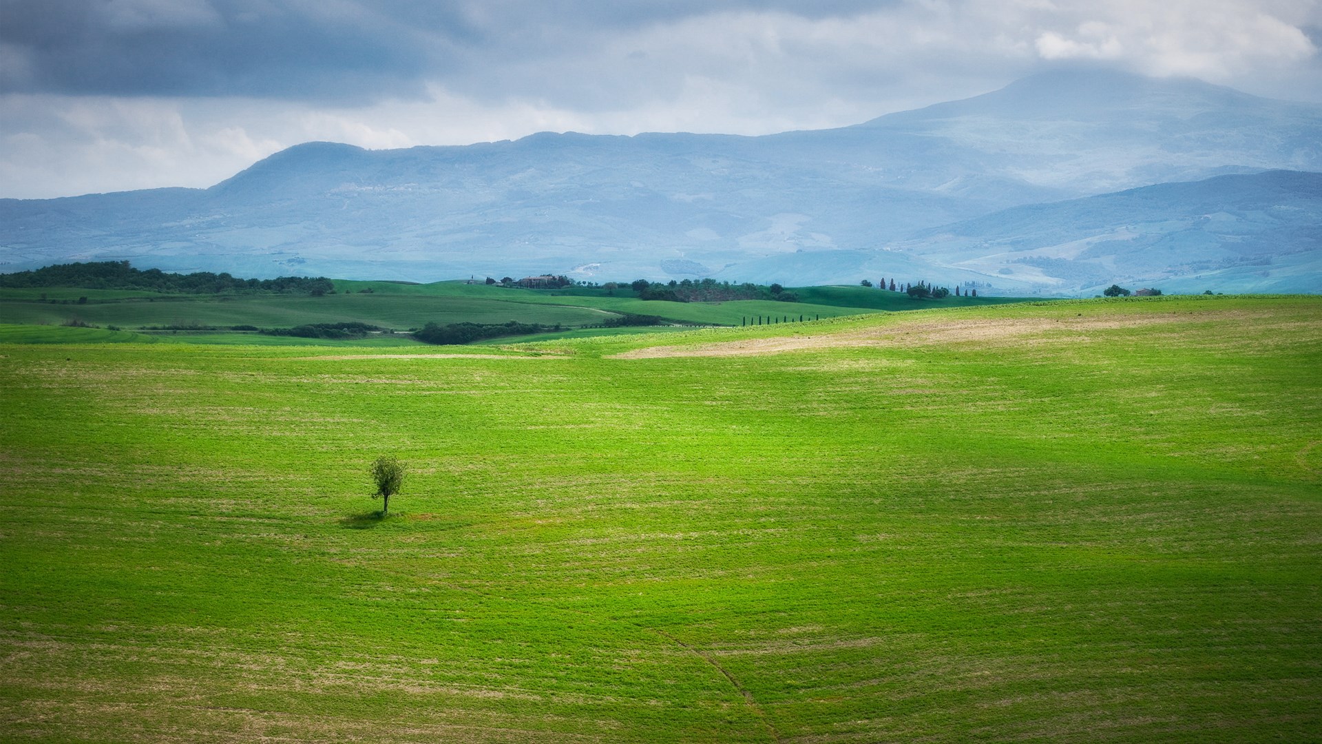 Rolling green hills with a lone tree and mountains HD Wallpaper
