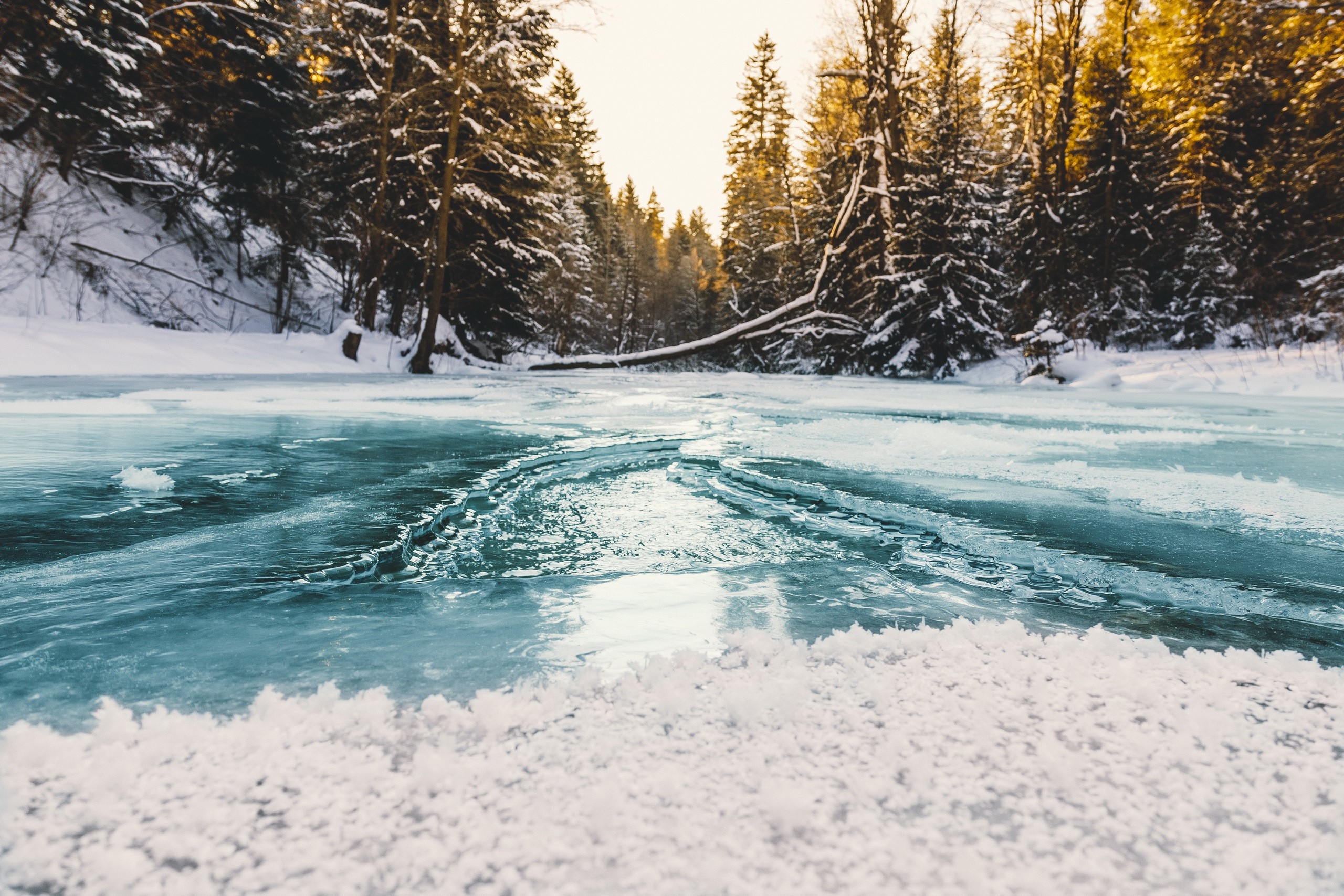 Frozen river in a snowy forest HD Wallpaper
