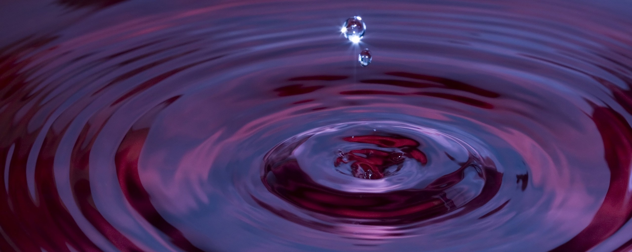 Water drops falling into purple liquid with ripples HD Wallpaper