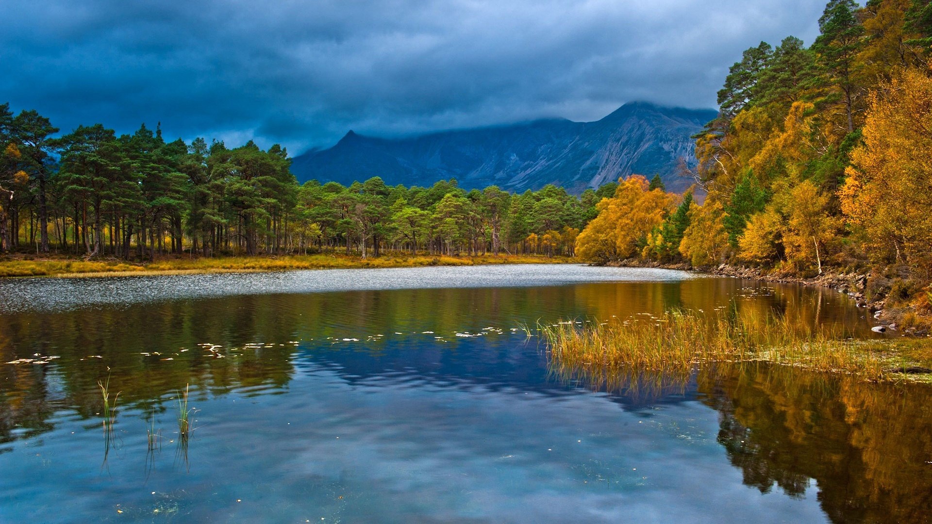Lake and autumn forest with mountains HD Wallpaper