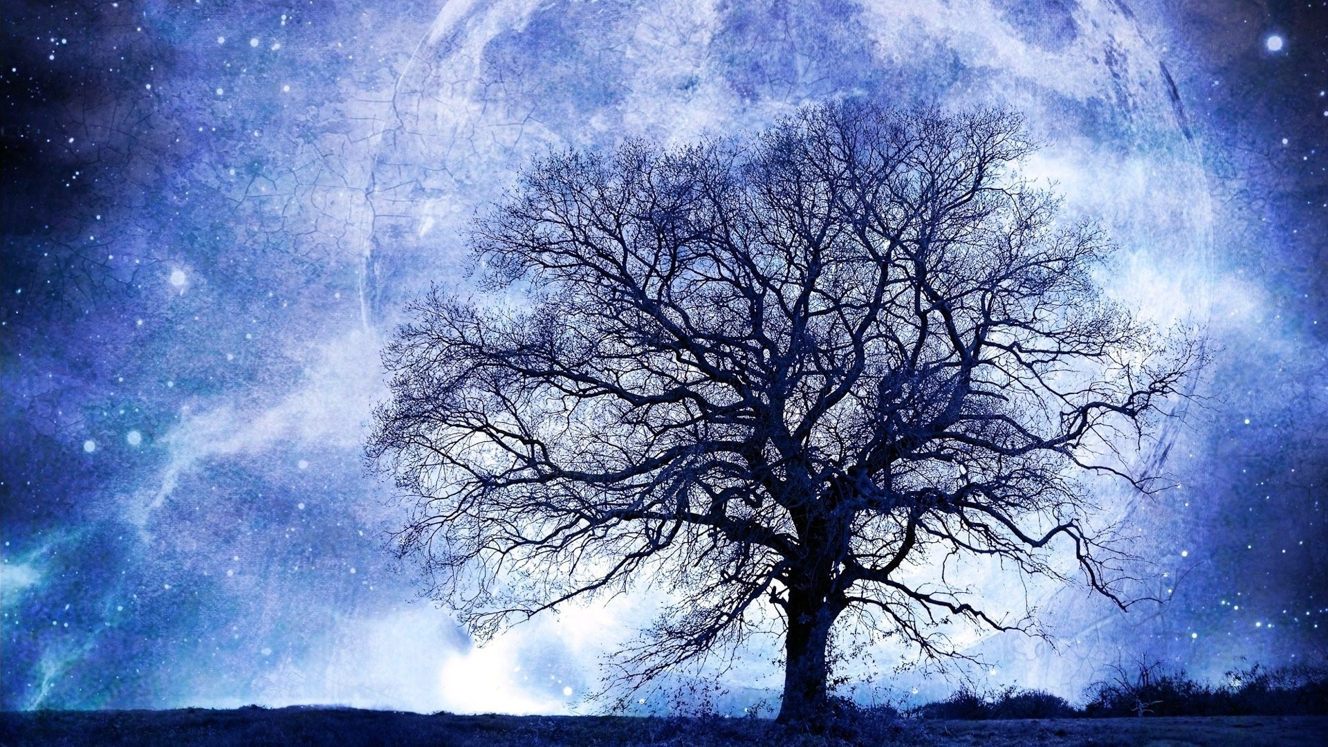 Bare tree under a starry moonlit sky HD Wallpaper