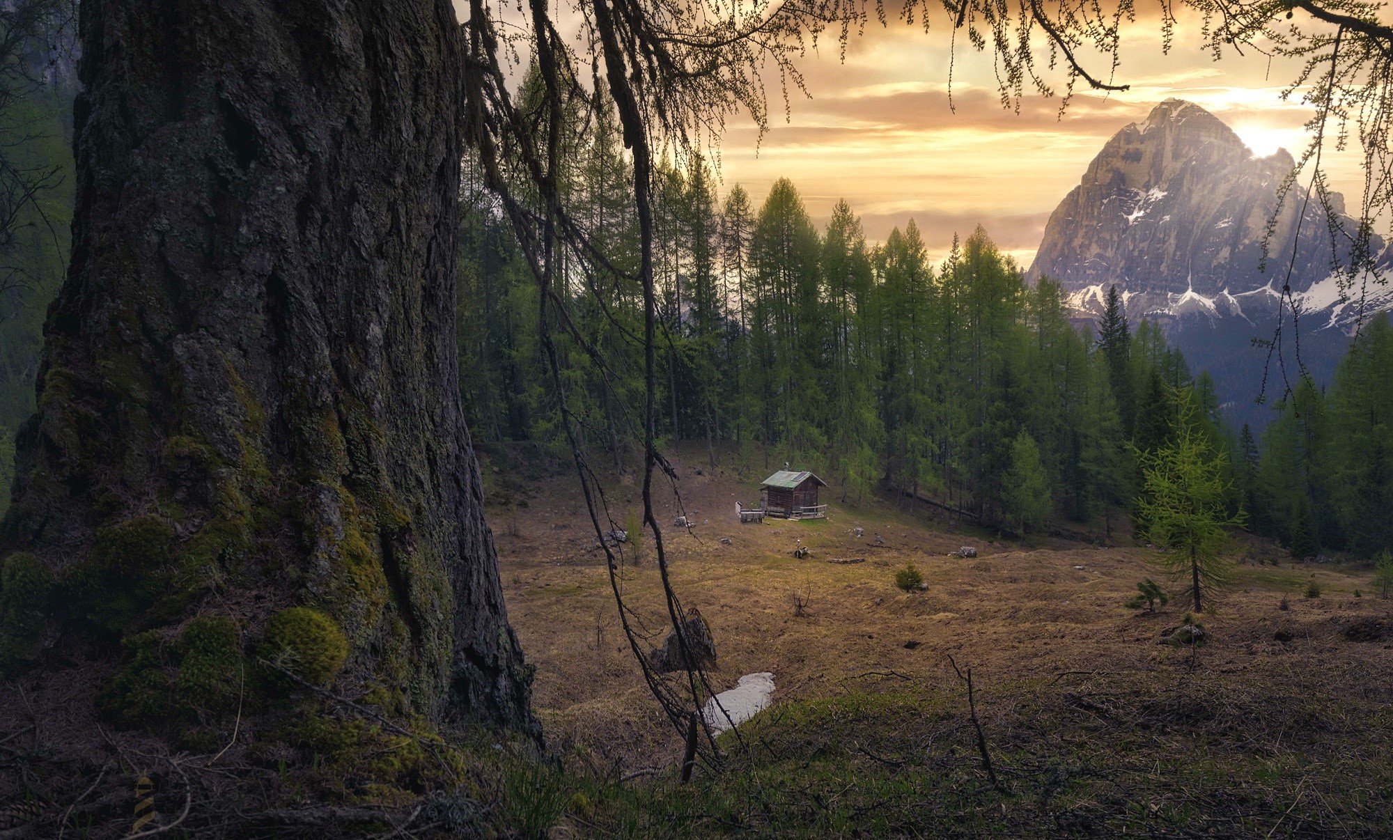 Mountain landscape with a cabin and trees HD Wallpaper