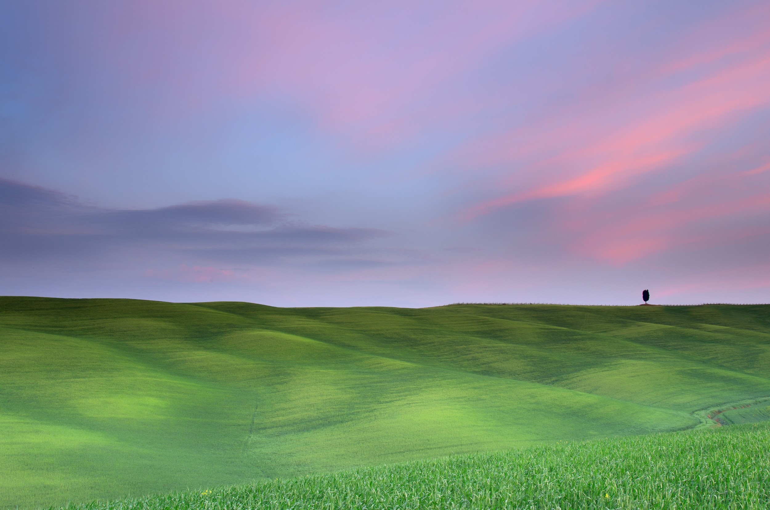 Green rolling hills under a pink and purple sky HD Wallpaper