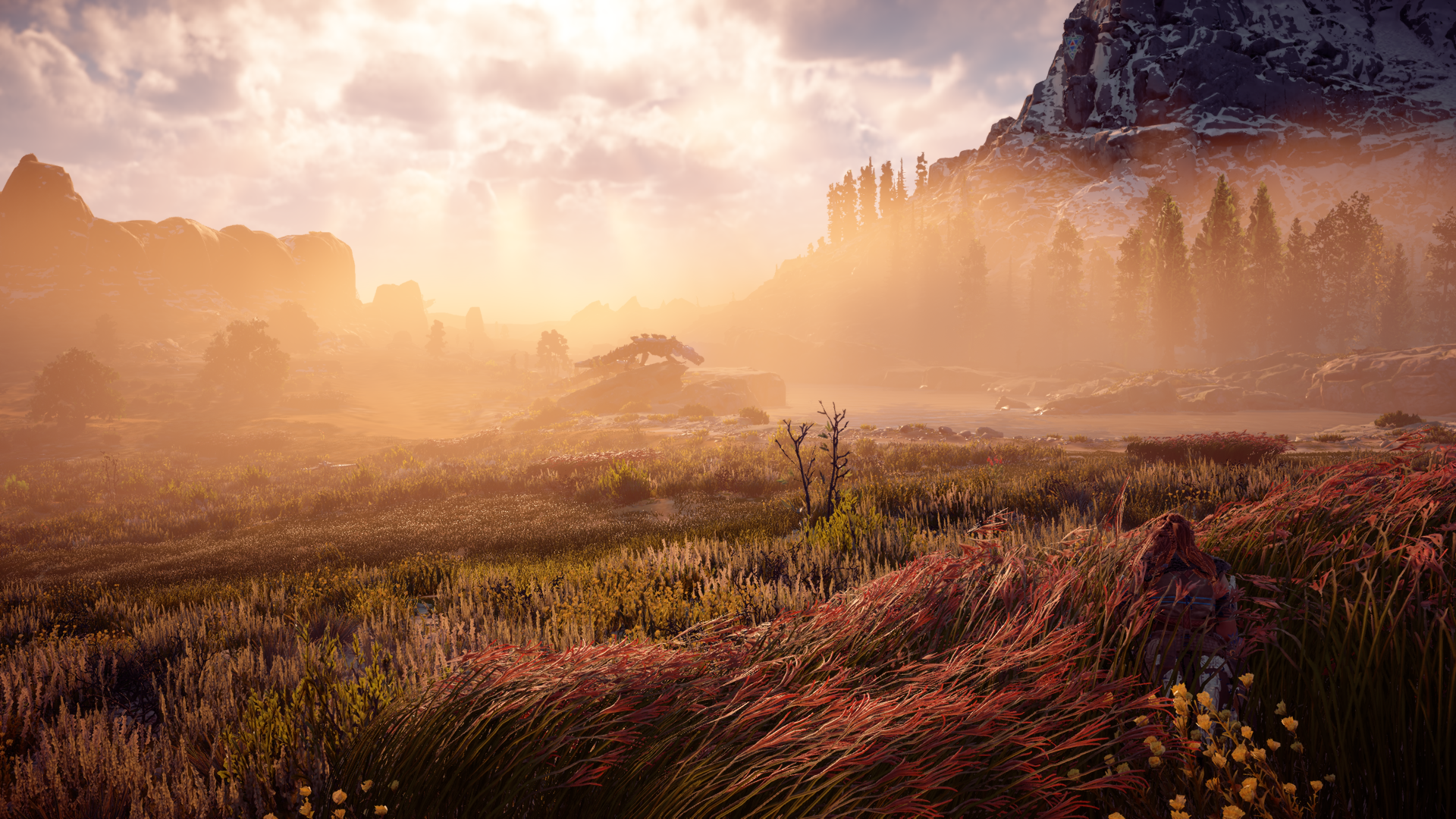 Aloy from Horizon: Zero Dawn landscape HD Wallpaper