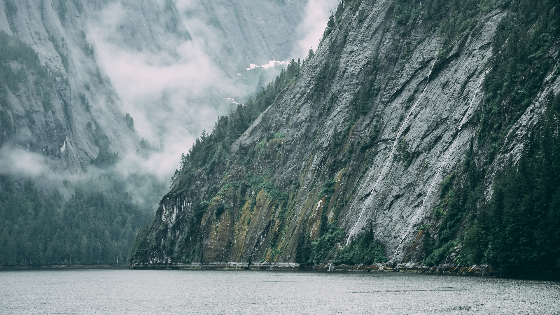 Misty mountains and forest by the water in Alaska HD Wallpaper