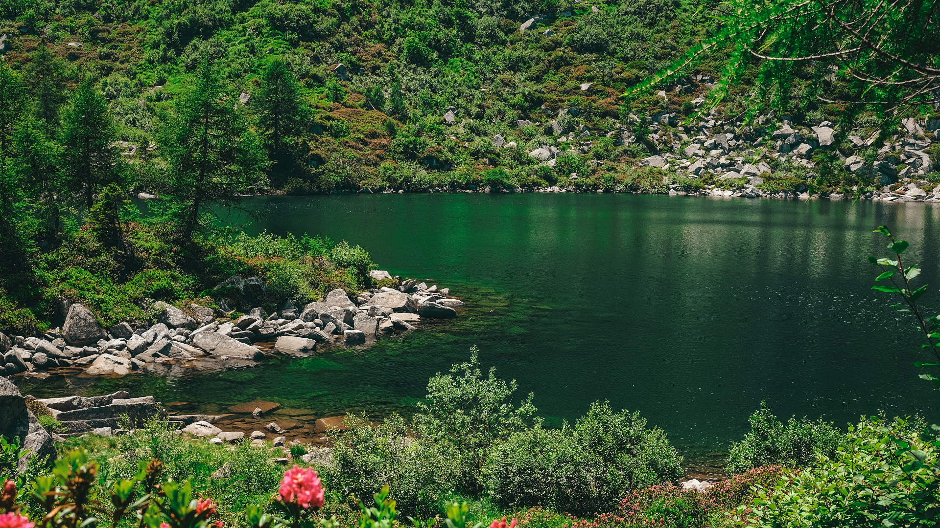 Green mountain lake with rocks and flowers HD Wallpaper