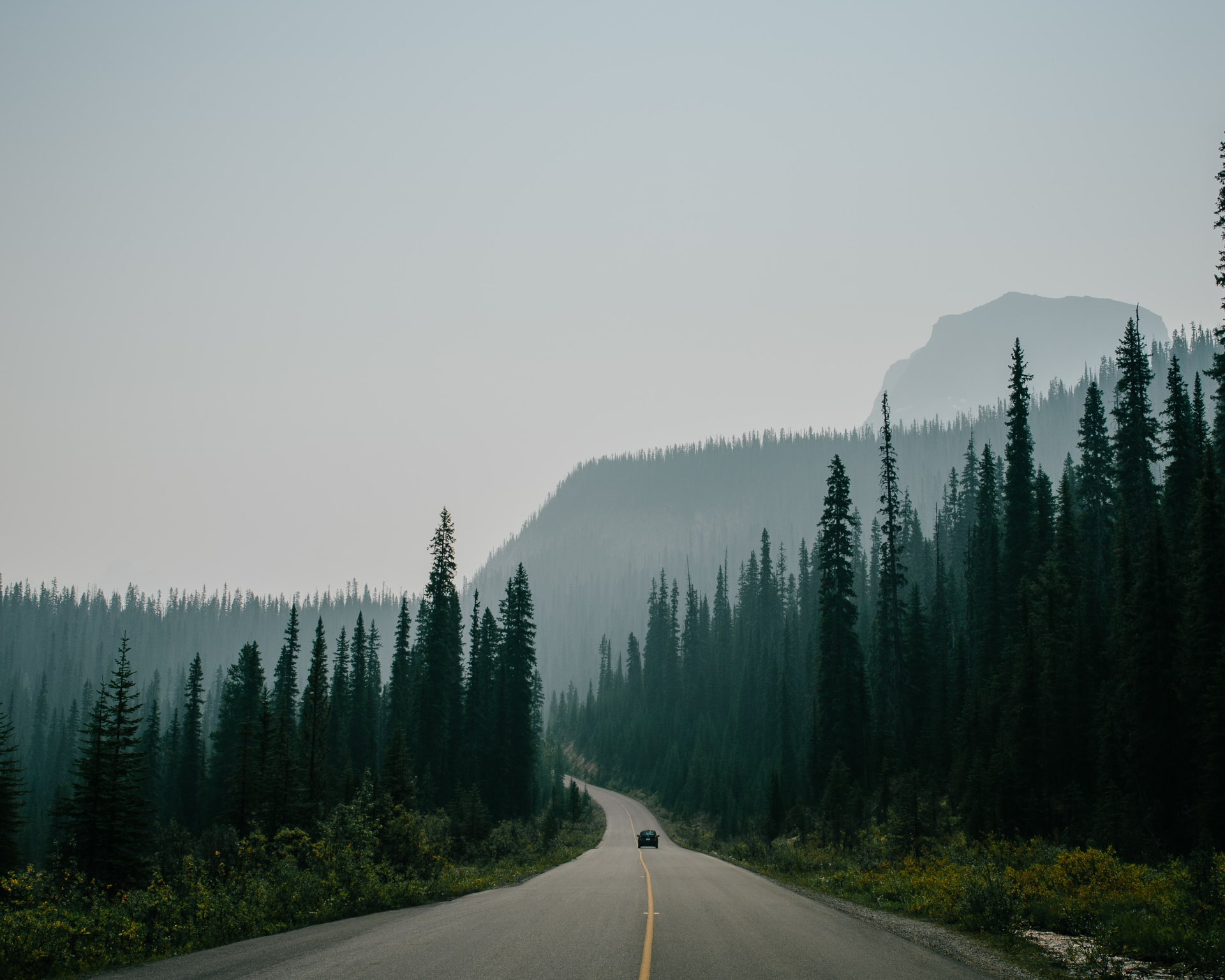 Car driving on a road through a misty forest in Banff National Park HD Wallpaper