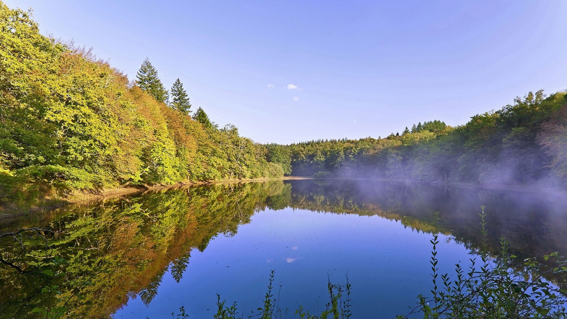 Misty lake surrounded by trees in autumn HD Wallpaper