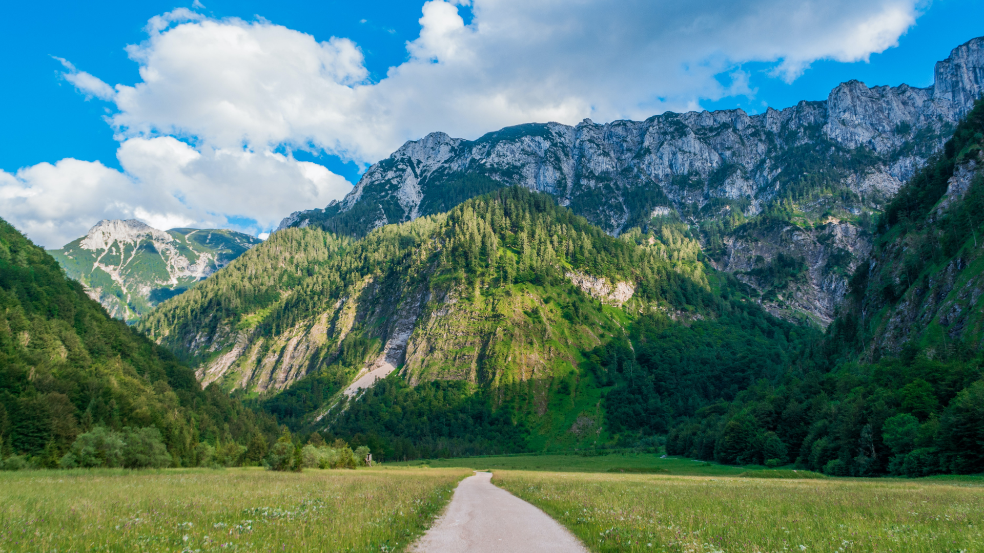 Dirt road through a mountain valley with forests and clouds HD Wallpaper