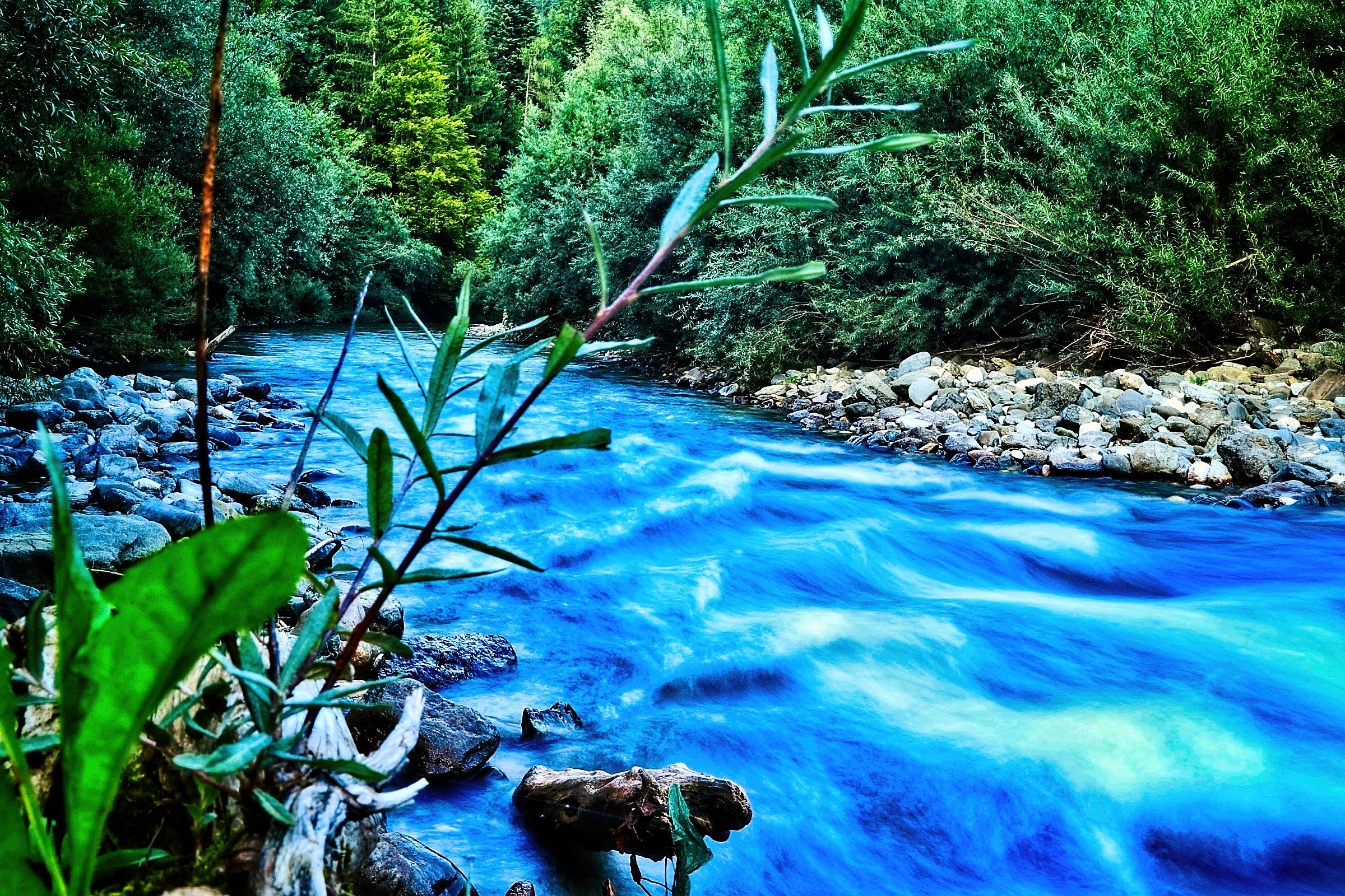 Blue river flowing through a forest with rocks and trees HD Wallpaper
