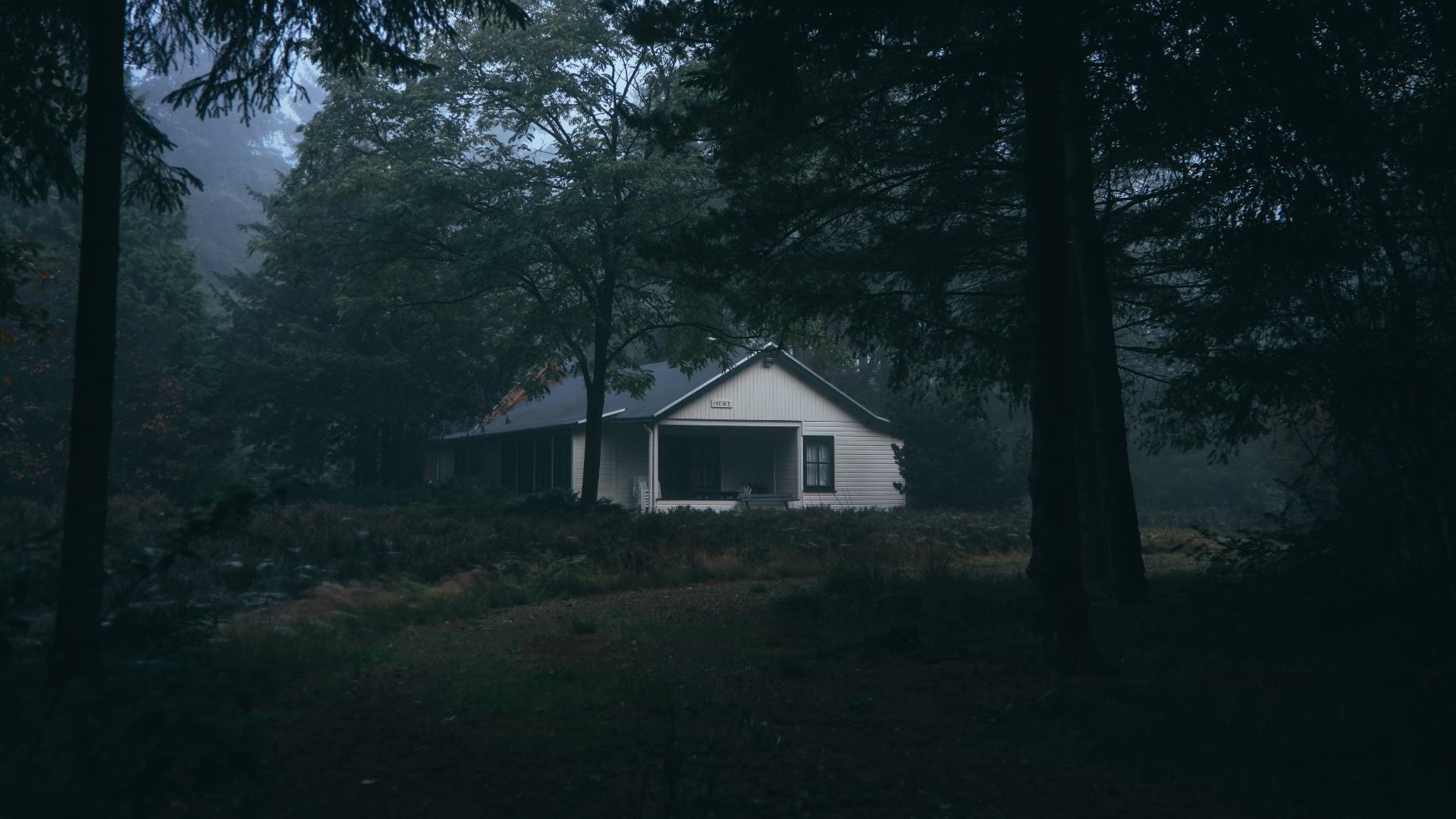 White cottage in a dark, misty forest HD Wallpaper