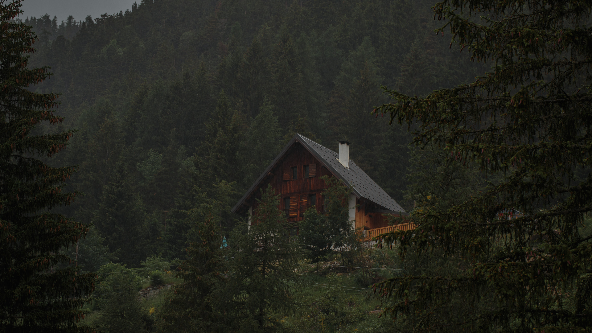 Wooden house in a dense forest in France HD Wallpaper