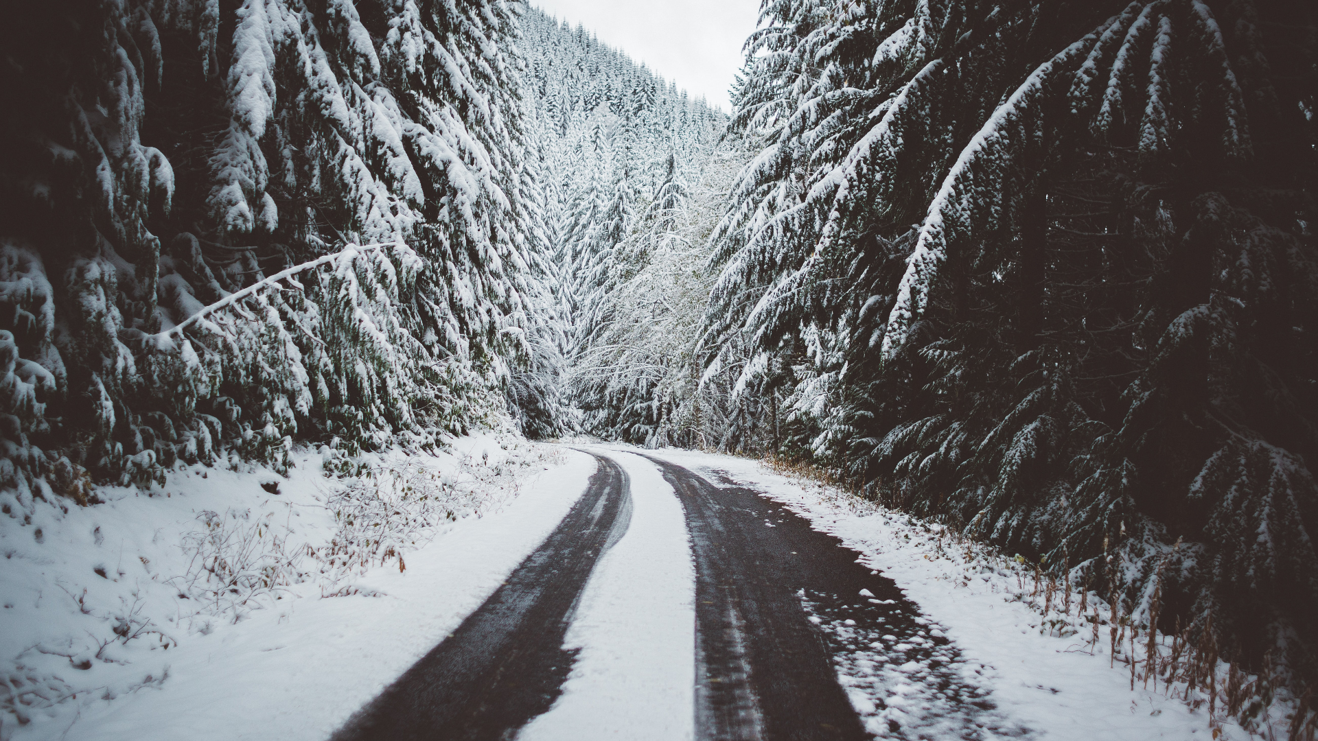 Snowy road through a forest in Oregon, USA HD Wallpaper