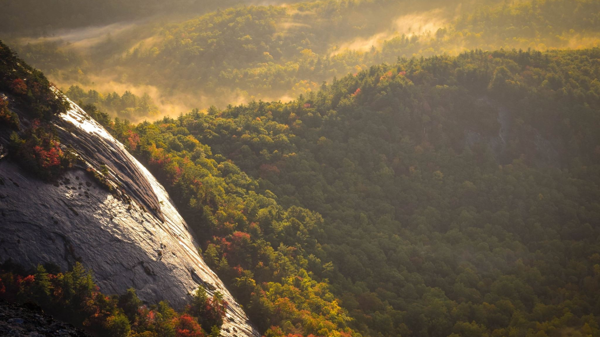 Sunlight on misty forest and rocky mountain landscape HD Wallpaper
