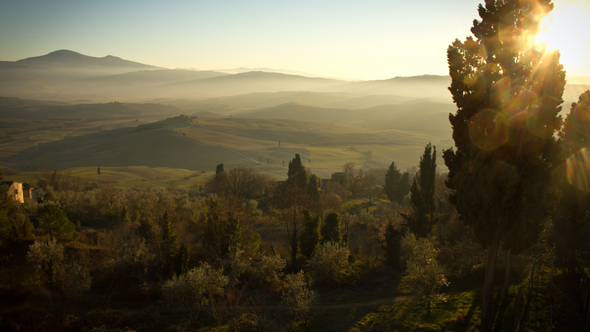 Tuscan landscape with rolling hills and cypress trees at sunset HD Wallpaper
