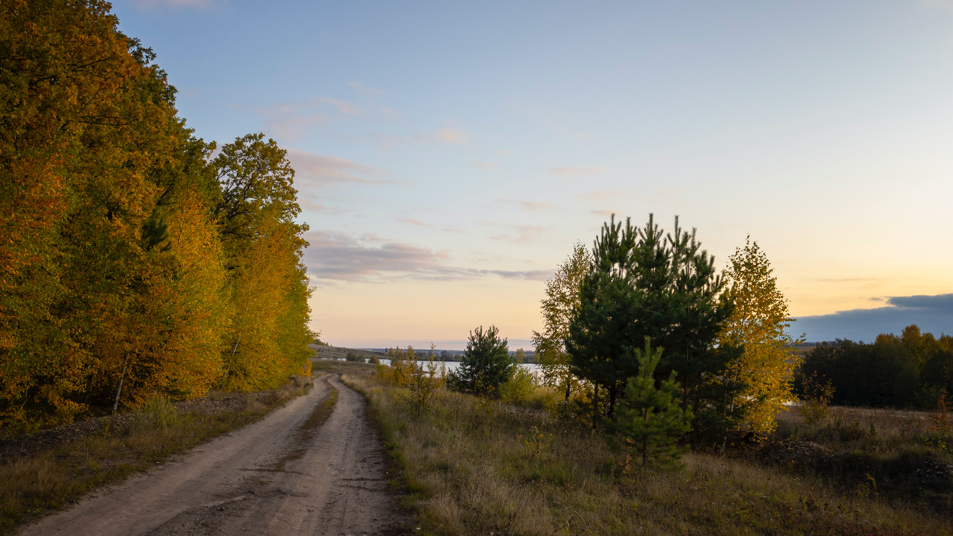 Dirt road through autumn forest by lake at sunset HD Wallpaper
