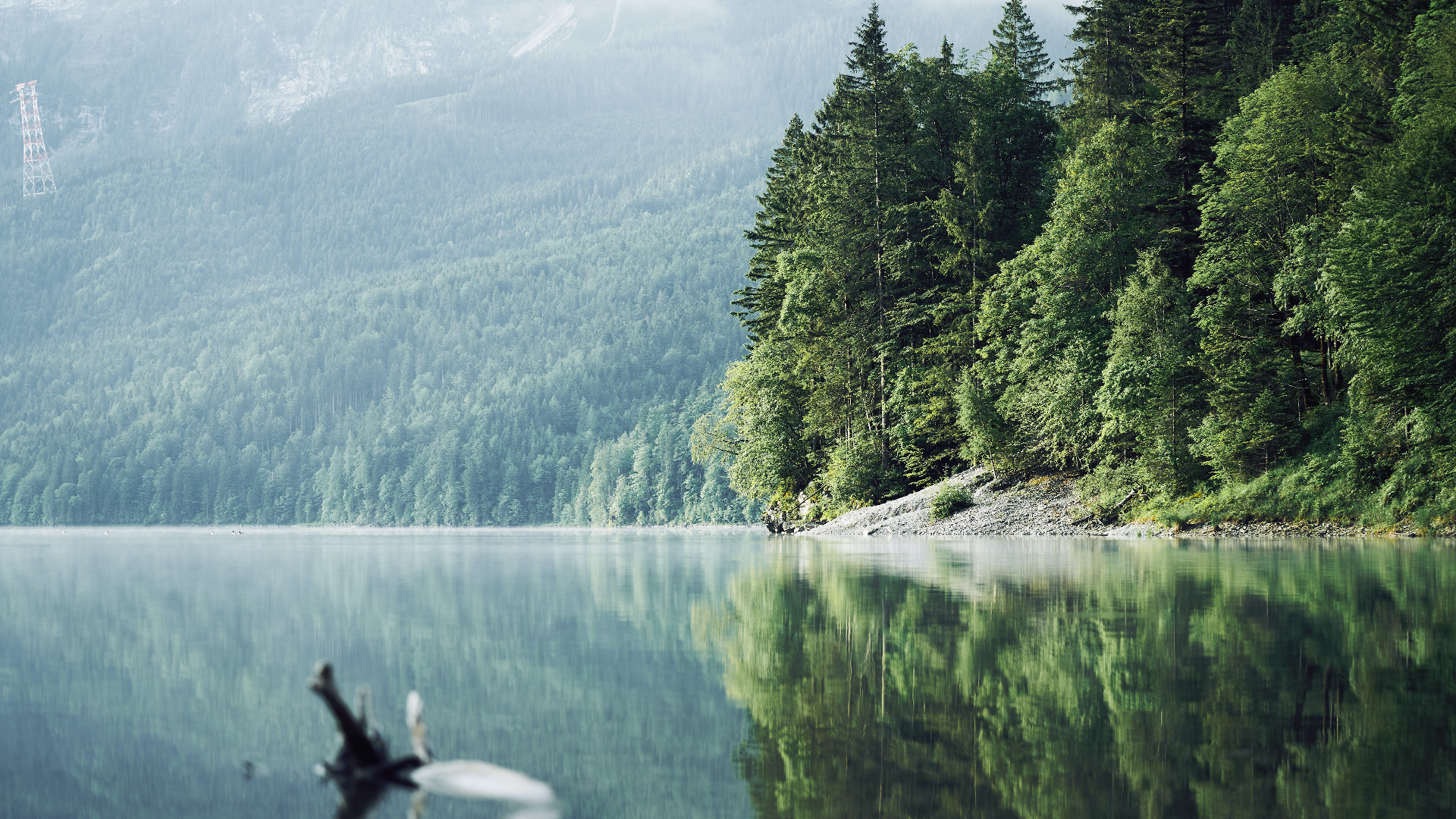 Lake and forest with mountains and power lines HD Wallpaper