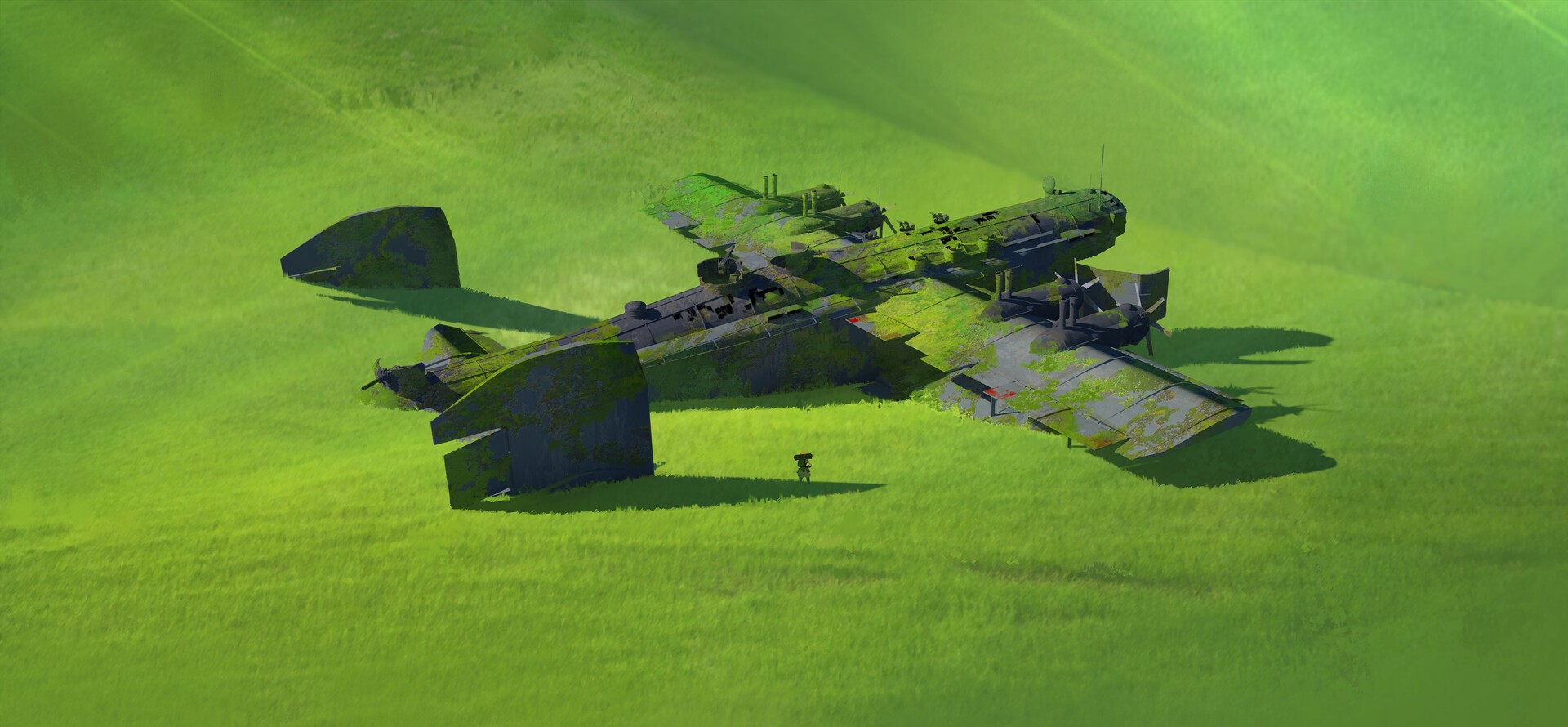 Abandoned airplane covered in moss in a grassy field HD Wallpaper