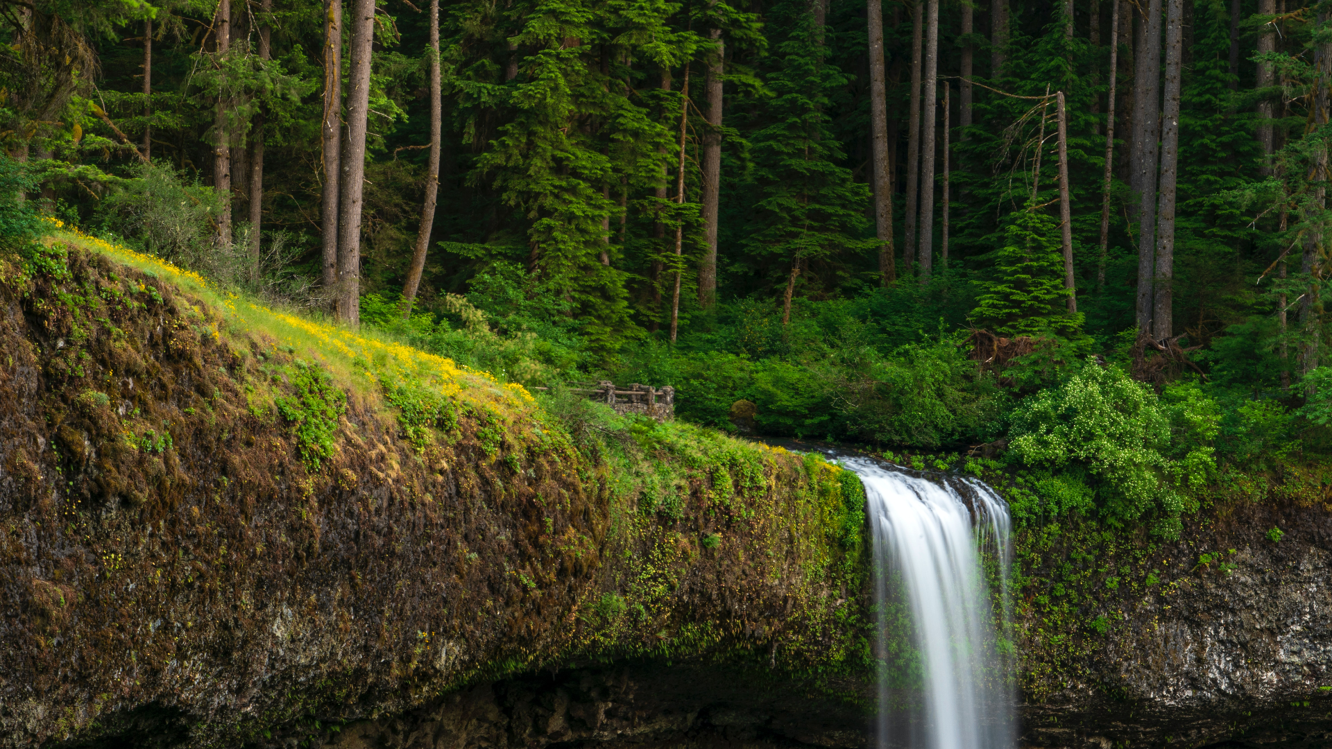 Waterfall in a lush green forest with a wooden viewpoint HD Wallpaper