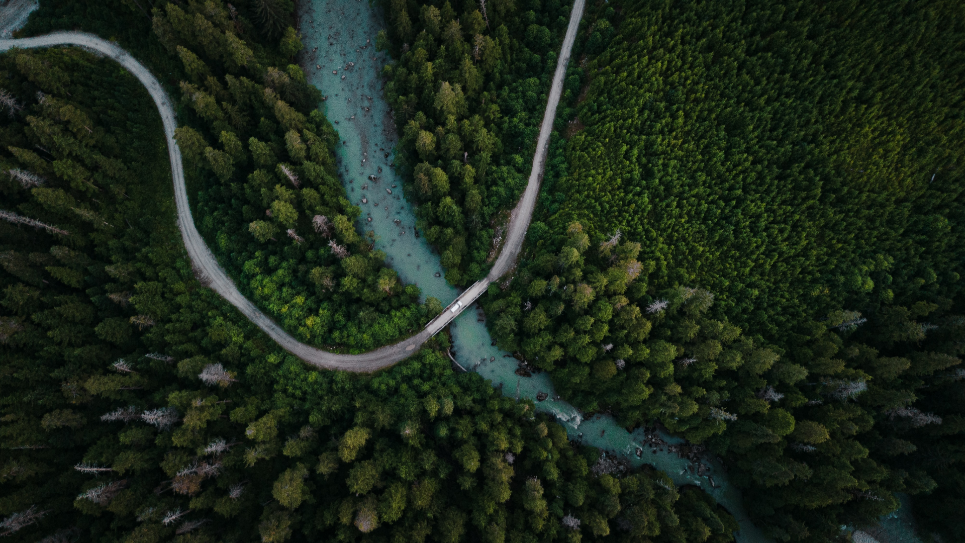 Aerial view of a winding road and river through a forest HD Wallpaper