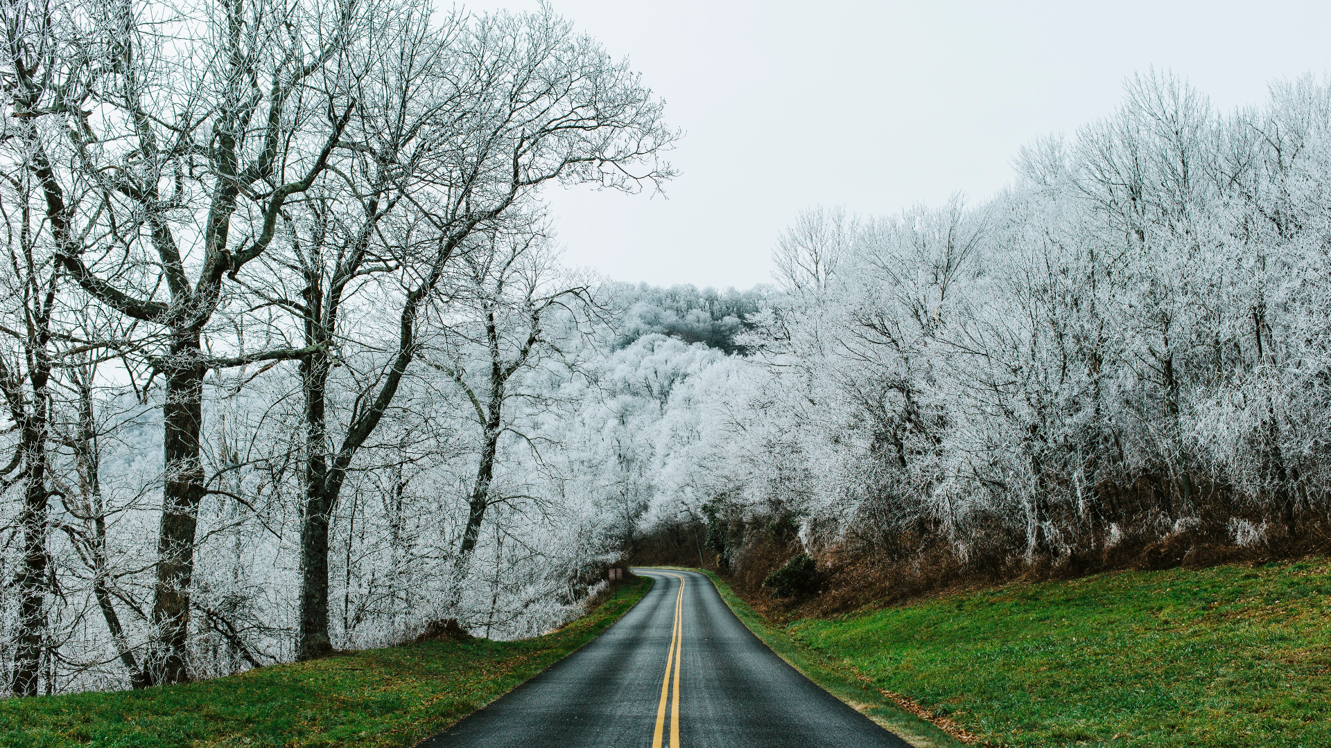 Winding road through a frosted forest in Virginia HD Wallpaper