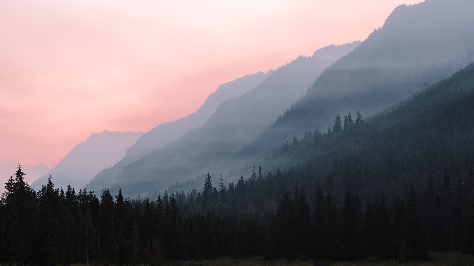 Misty mountains at dawn in Washington, USA HD Wallpaper