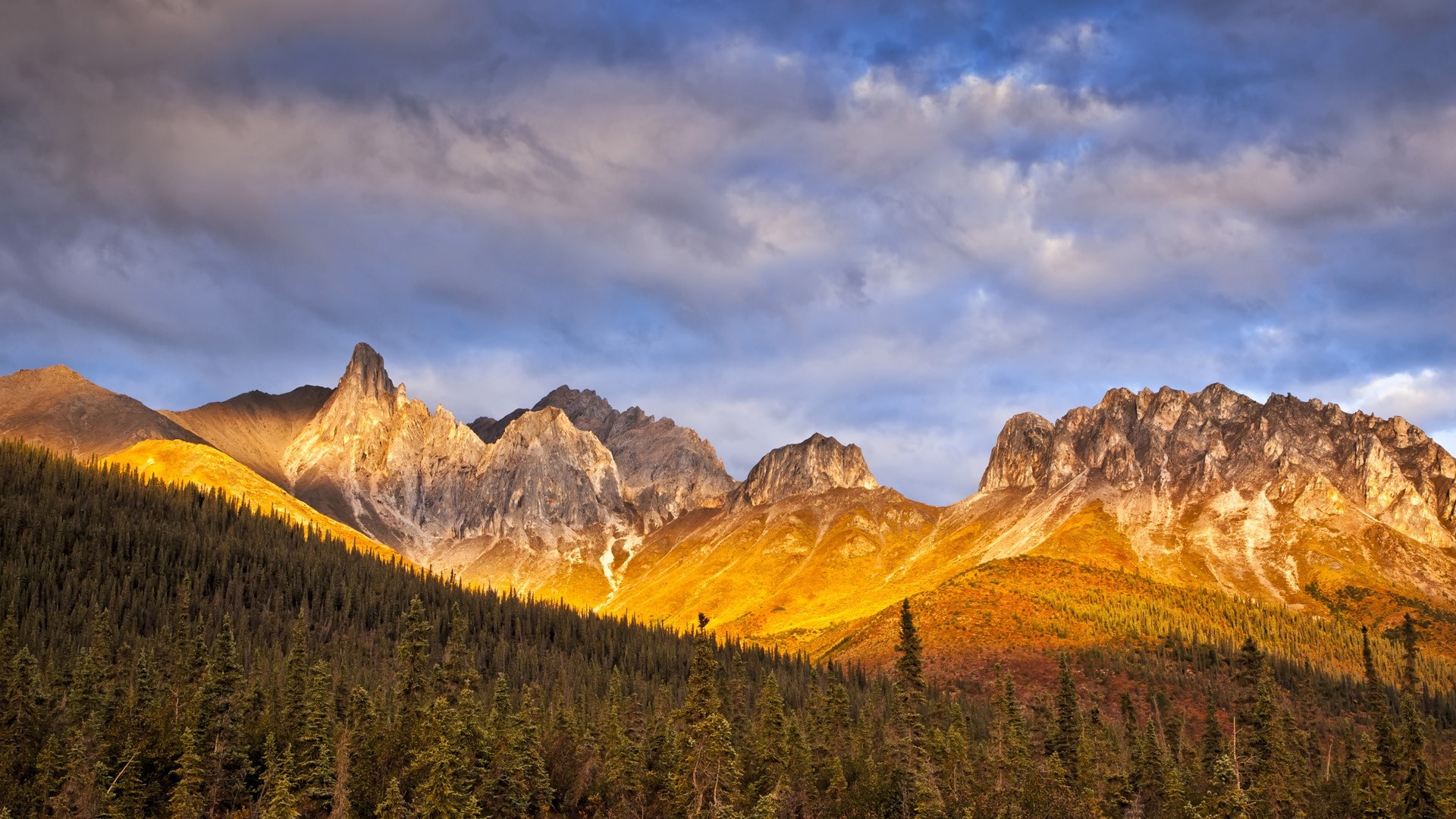 Sunlight on mountains and forest in Alaska HD Wallpaper