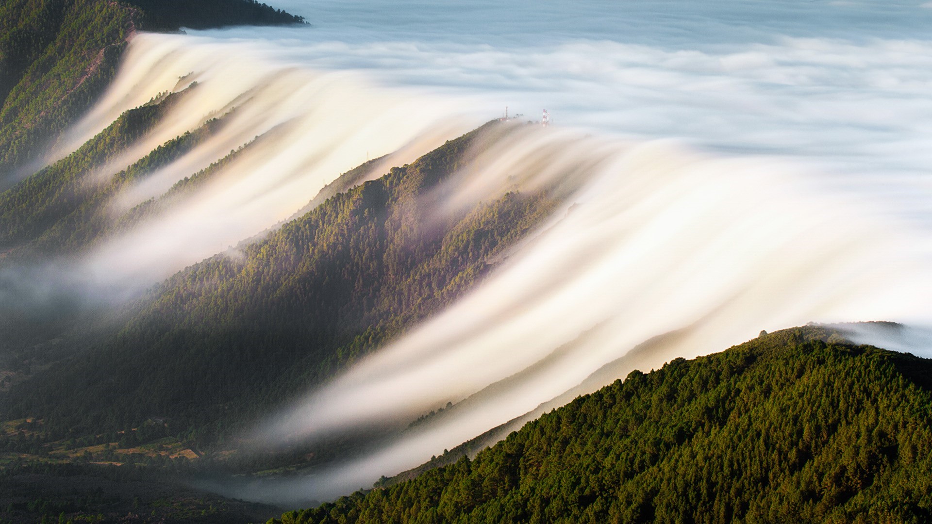 Fog flowing over forested mountains in Canary Islands, Spain HD Wallpaper