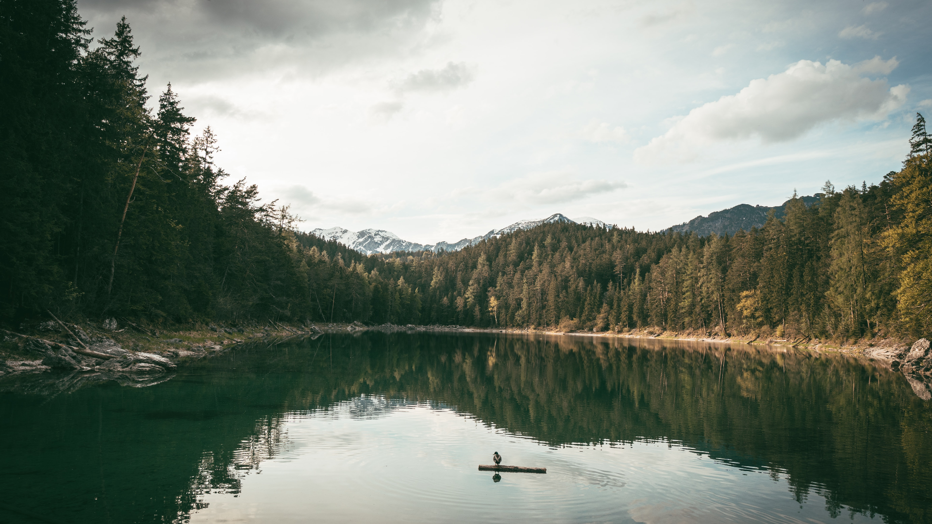 Lake with forest and mountains HD Wallpaper