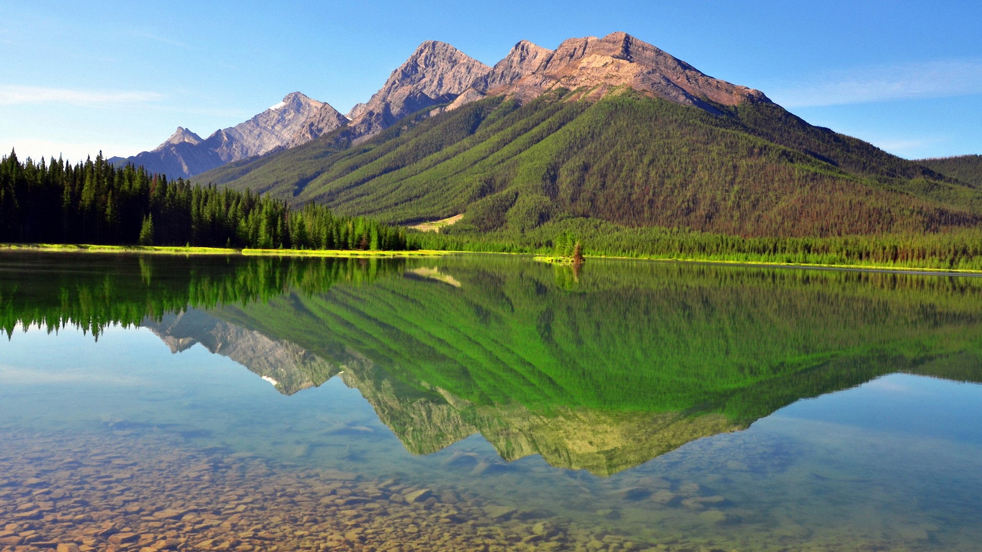 Mountains reflected in a clear lake with pine trees HD Wallpaper
