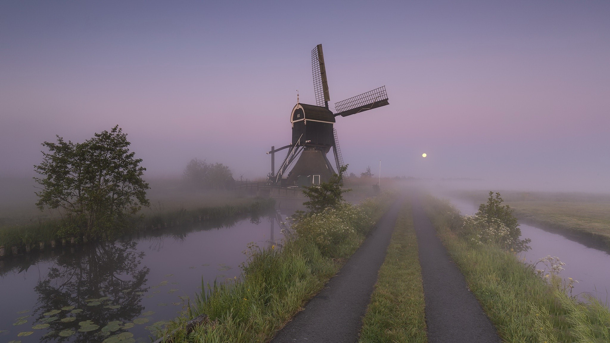 Windmill in the Netherlands at dawn with fog HD Wallpaper