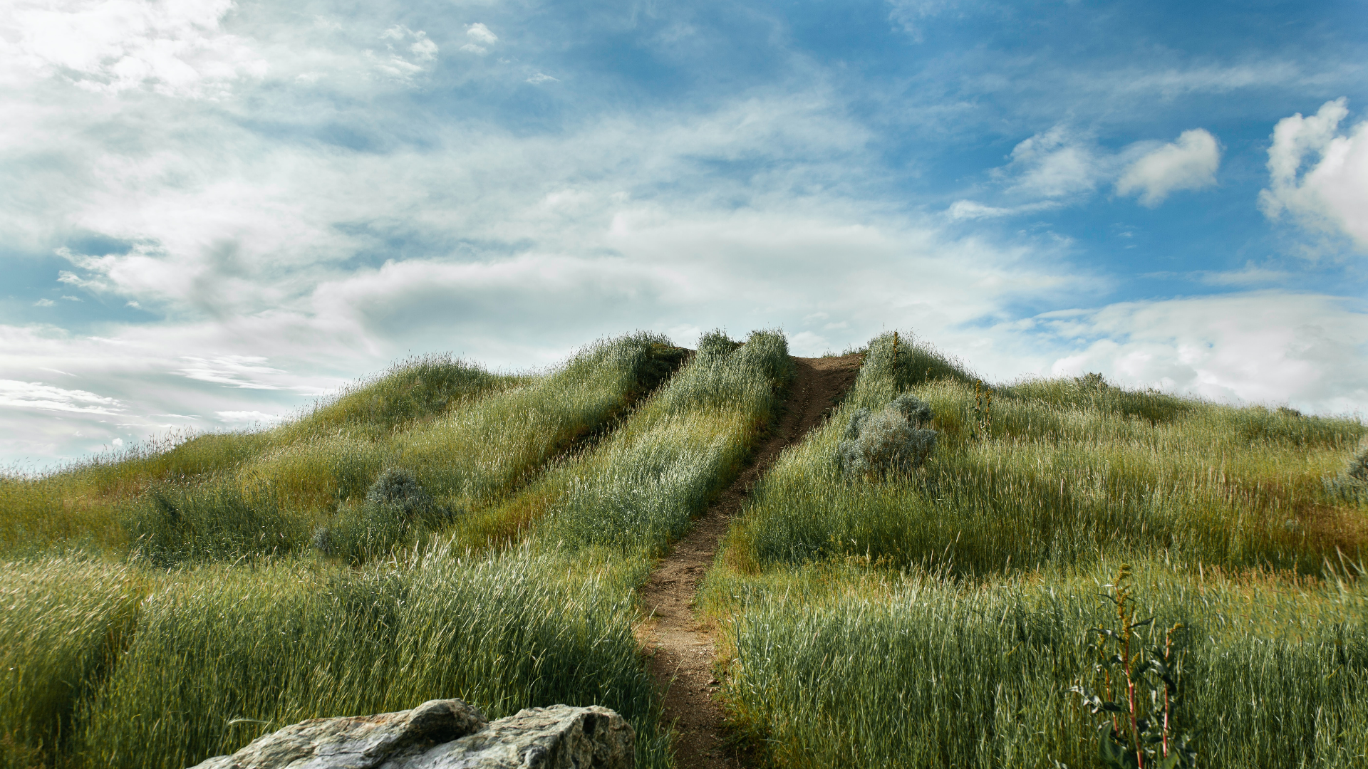 Dirt path through grassy hills under a cloudy sky in Utah HD Wallpaper