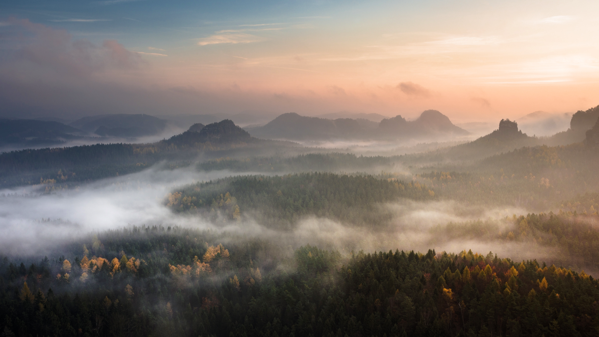 Misty forest landscape in Saxon Switzerland during fall HD Wallpaper