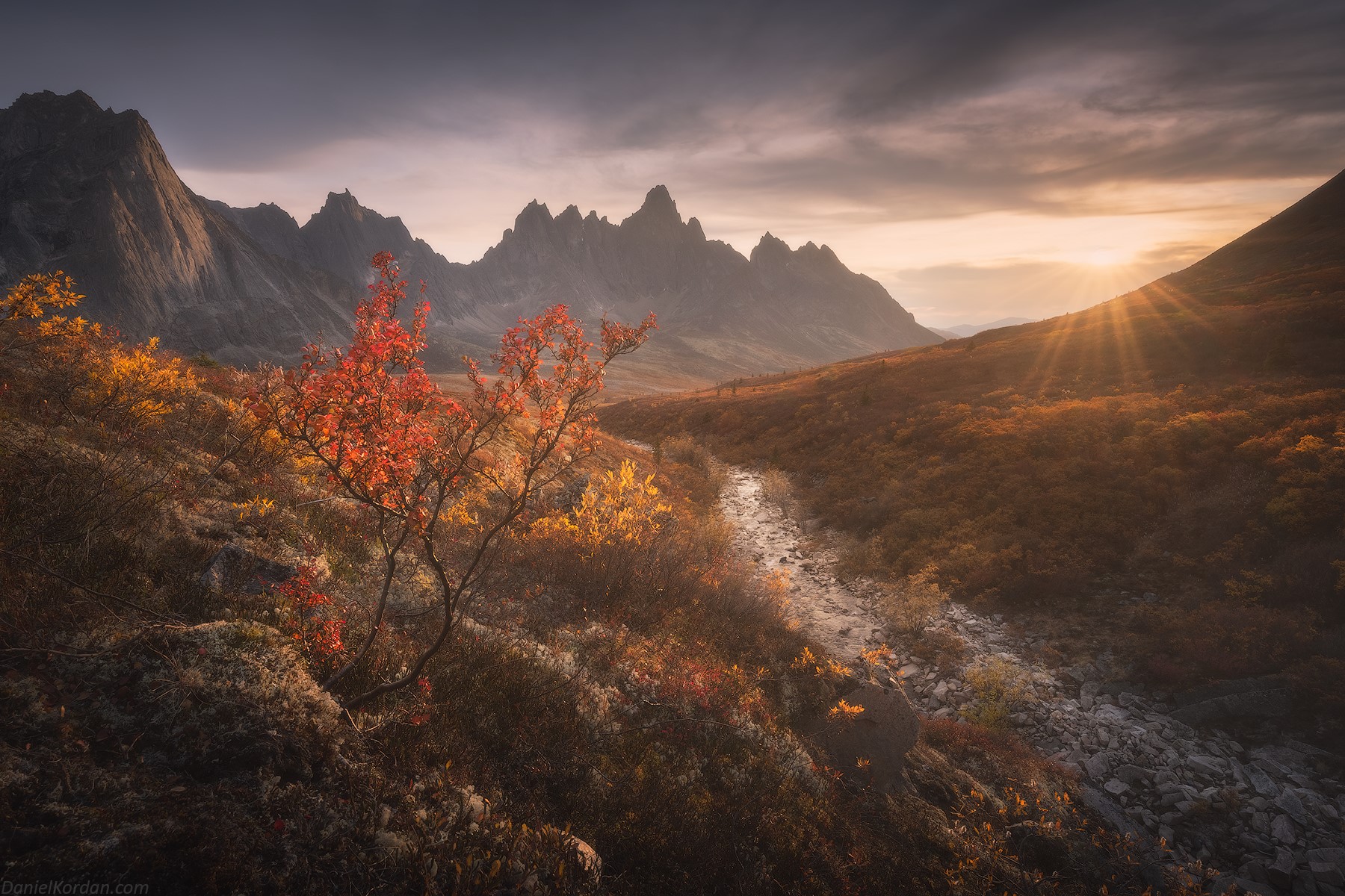 Sunset over mountains with autumn foliage in Yukon HD Wallpaper
