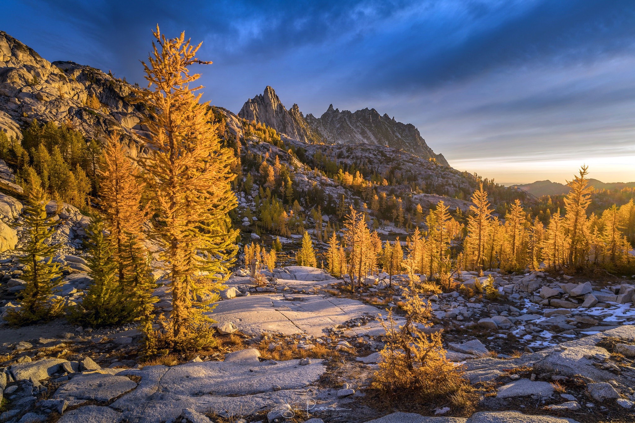 Golden larches in the mountains during fall at sunset HD Wallpaper