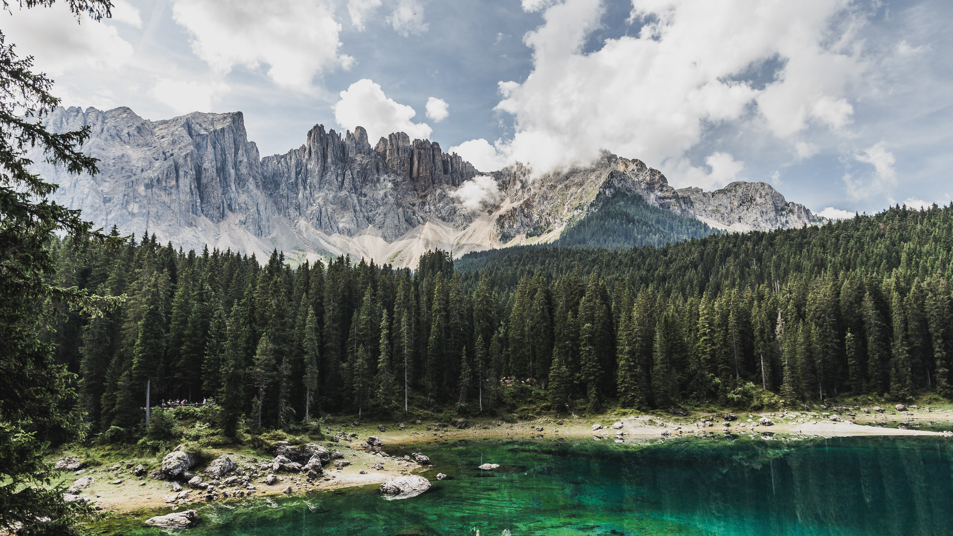 Lake and Forest with Dolomites Mountains in Italy HD Wallpaper