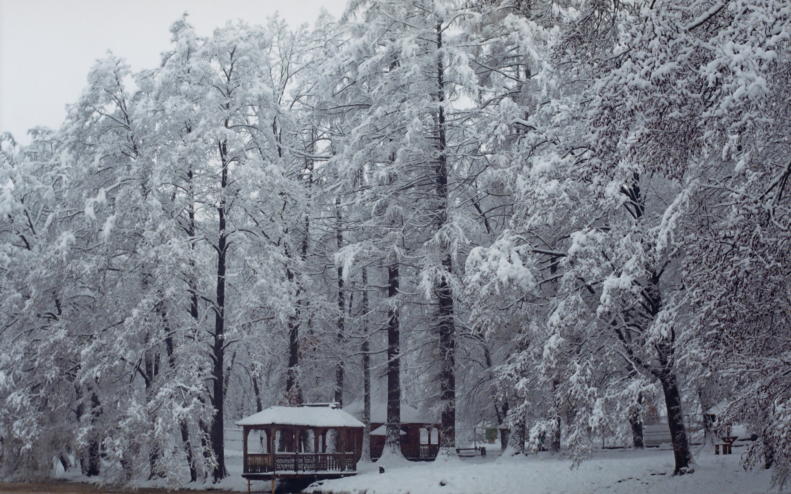 Snow covered forest with a gazebo HD Wallpaper