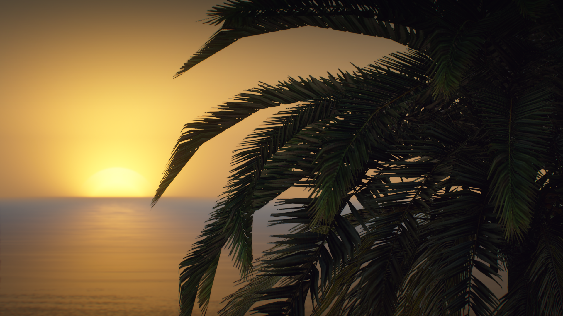 Grand Theft Auto V screenshot with palm tree and sunset HD Wallpaper