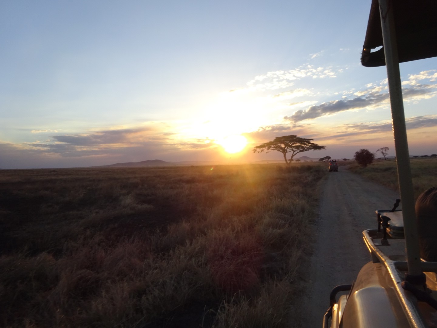 Safari vehicle on a dirt road in Tanzania at sunset HD Wallpaper