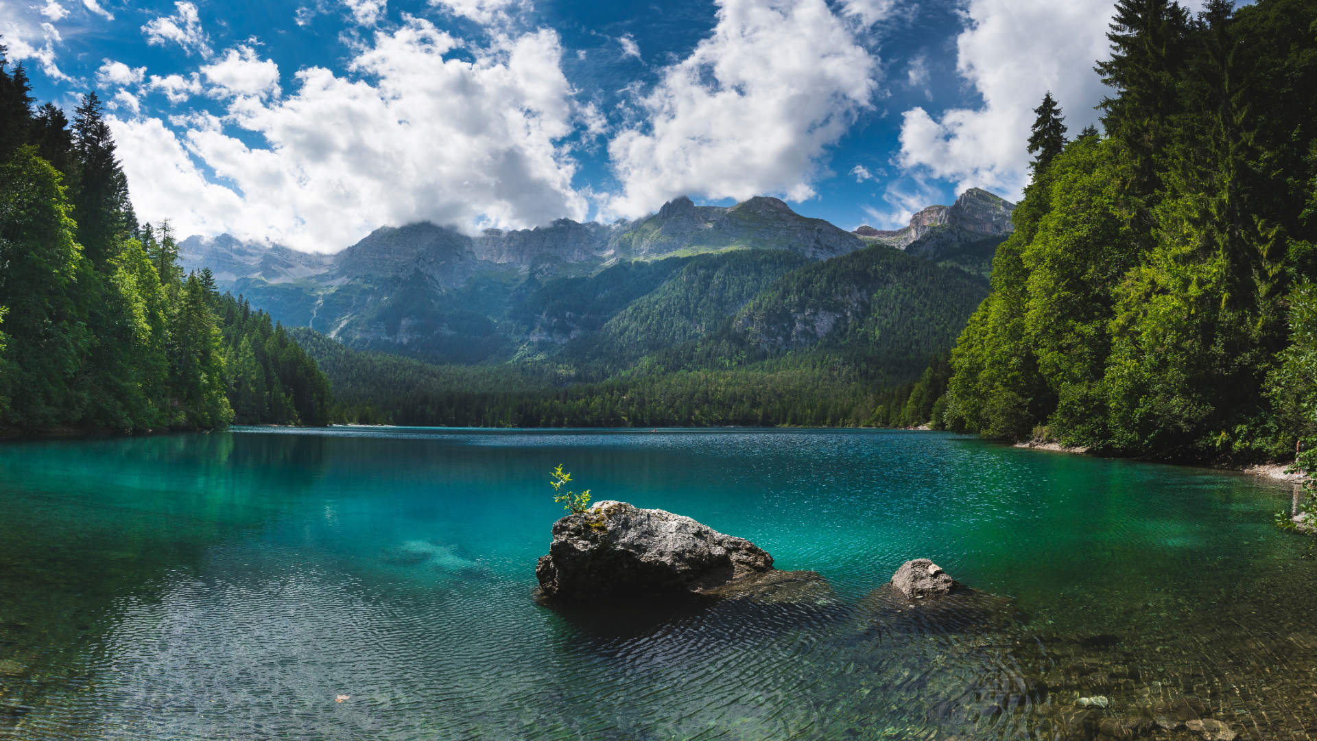 Lago di Tovel, Mountains, Lake, Italy HD Wallpaper
