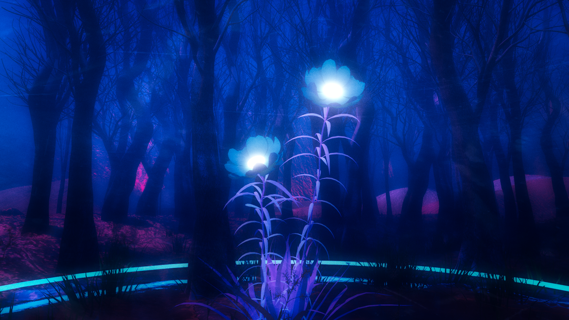 Glowing flowers in a dark, blue forest HD Wallpaper