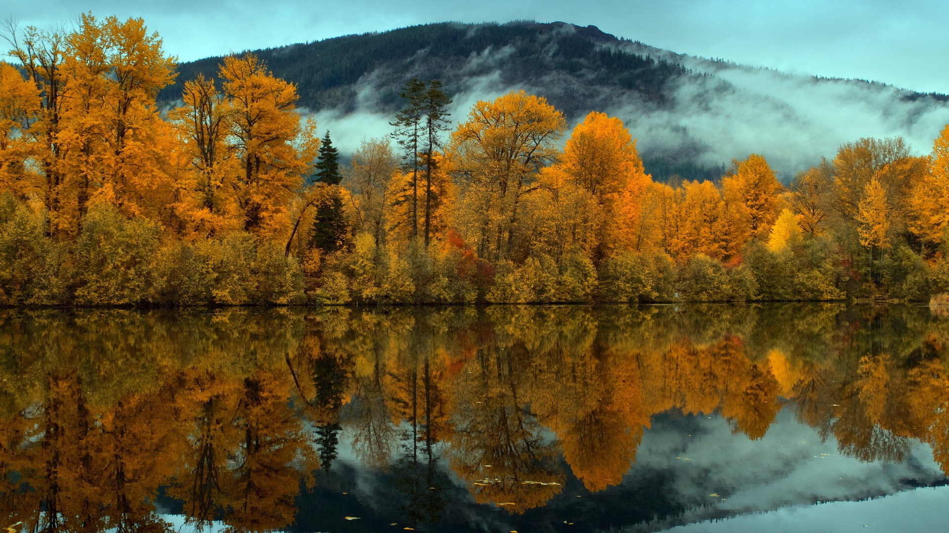 Autumn trees reflected in a calm lake with misty mountains HD Wallpaper