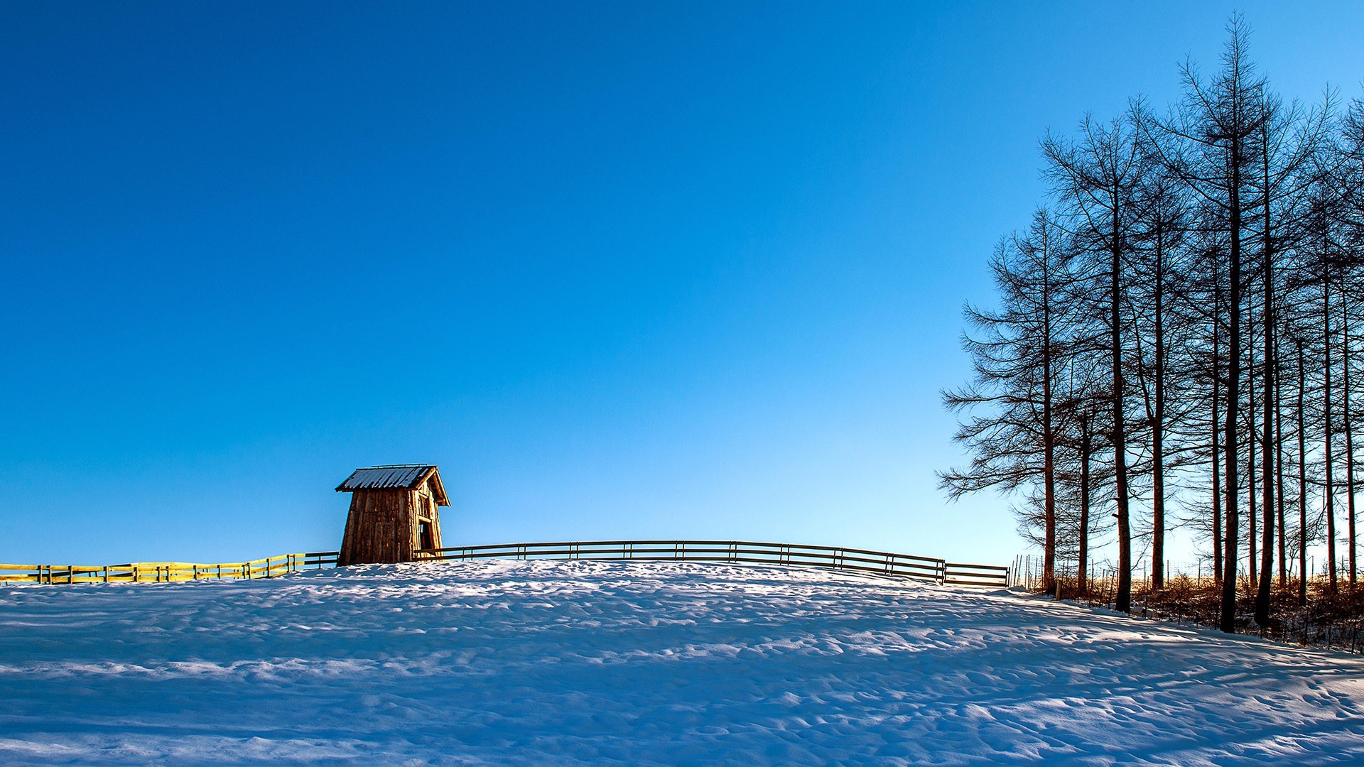 Wooden cottage and bare trees in a snowy landscape under a blue sky HD Wallpaper