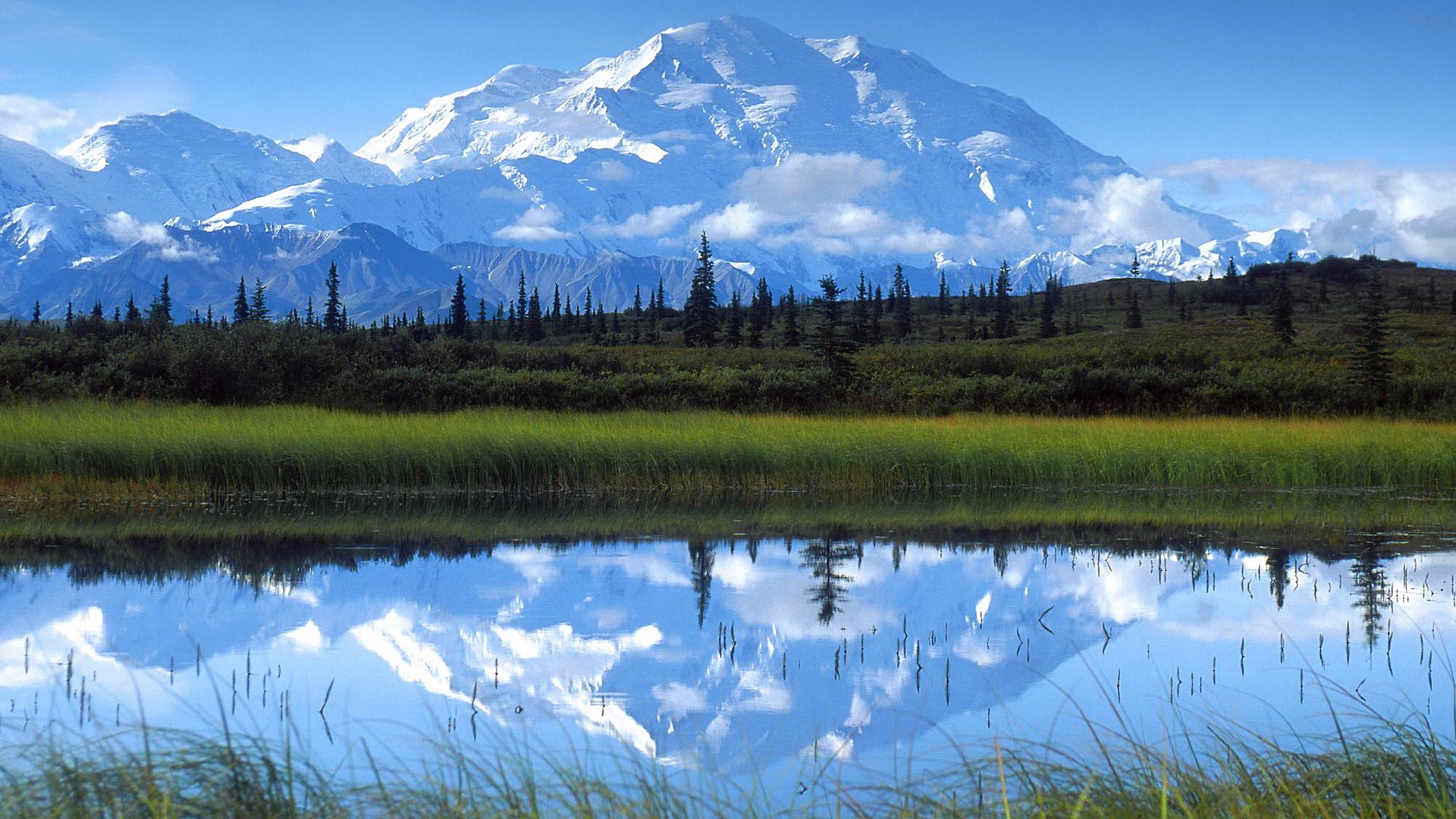 Denali Mountain reflected in a calm lake HD Wallpaper