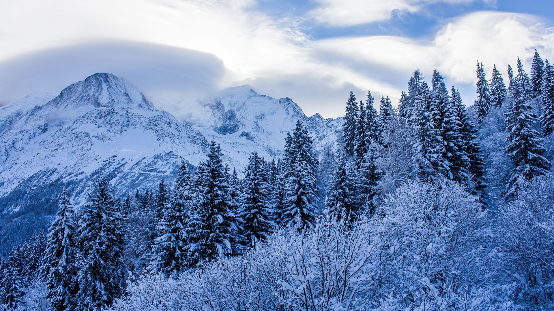 Snowy mountains and pine forest in France HD Wallpaper