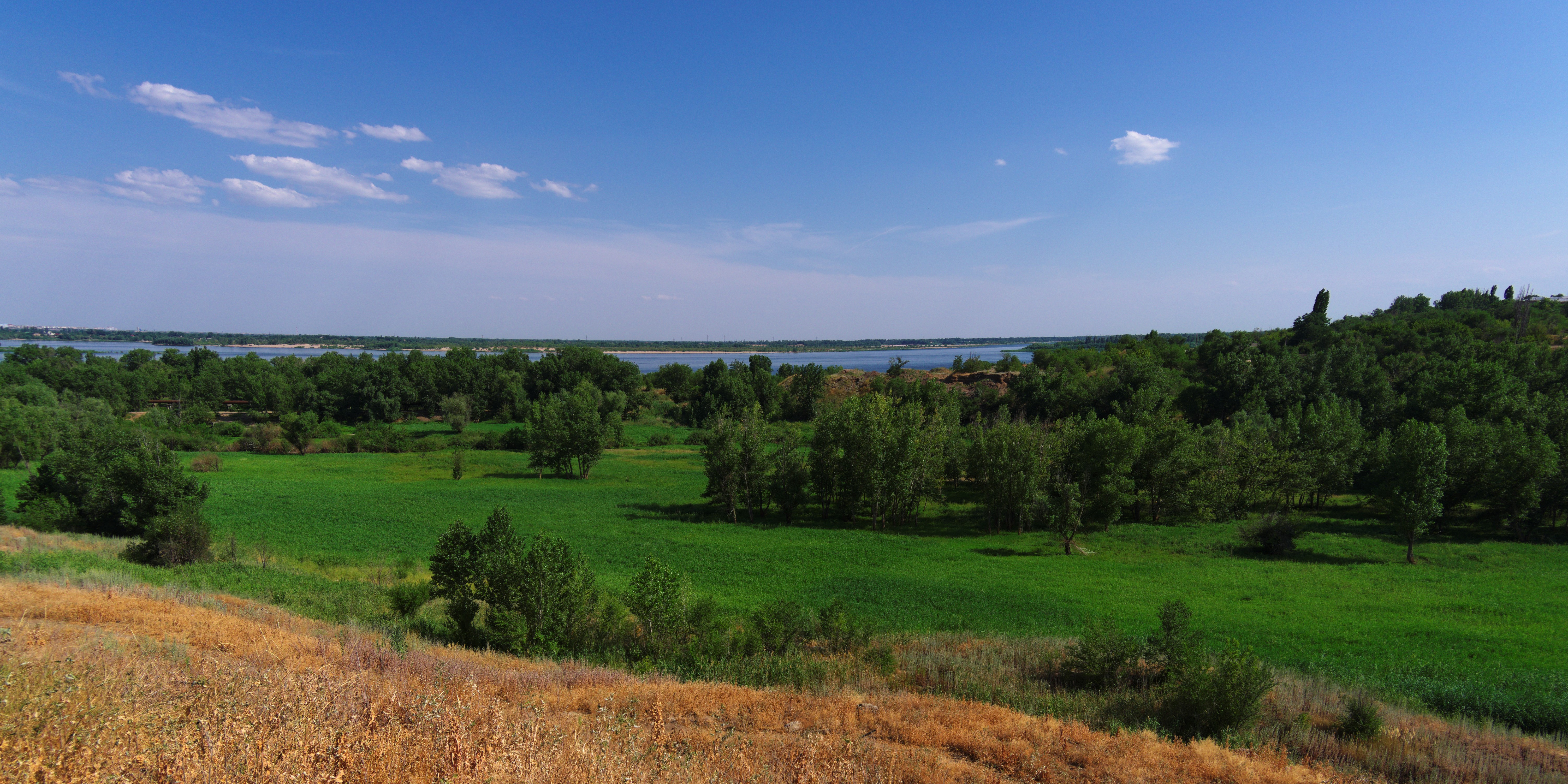 4K Nature scene with trees and clouds HD Wallpaper