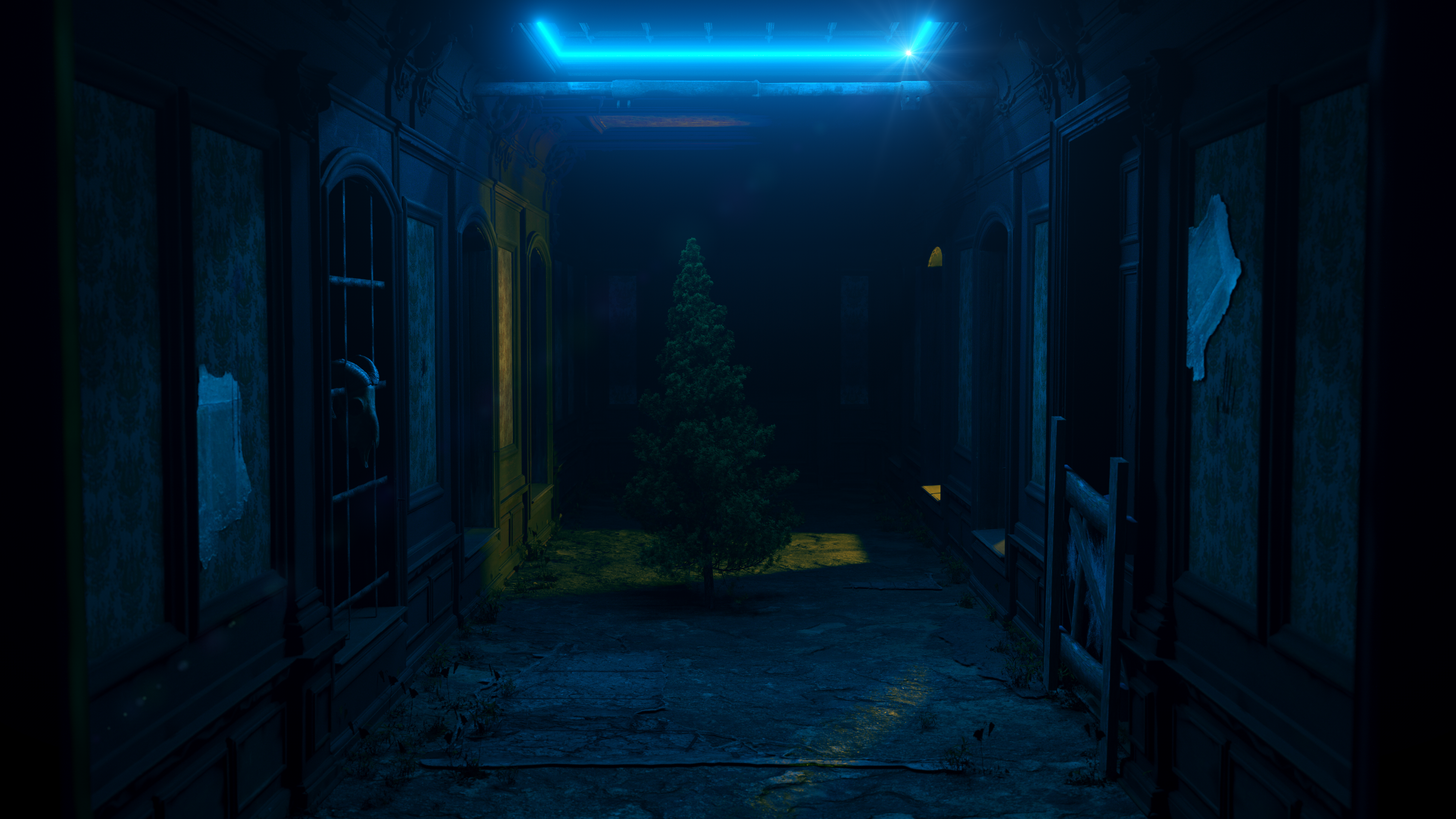 Creepy hallway with a tree and blue light HD Wallpaper