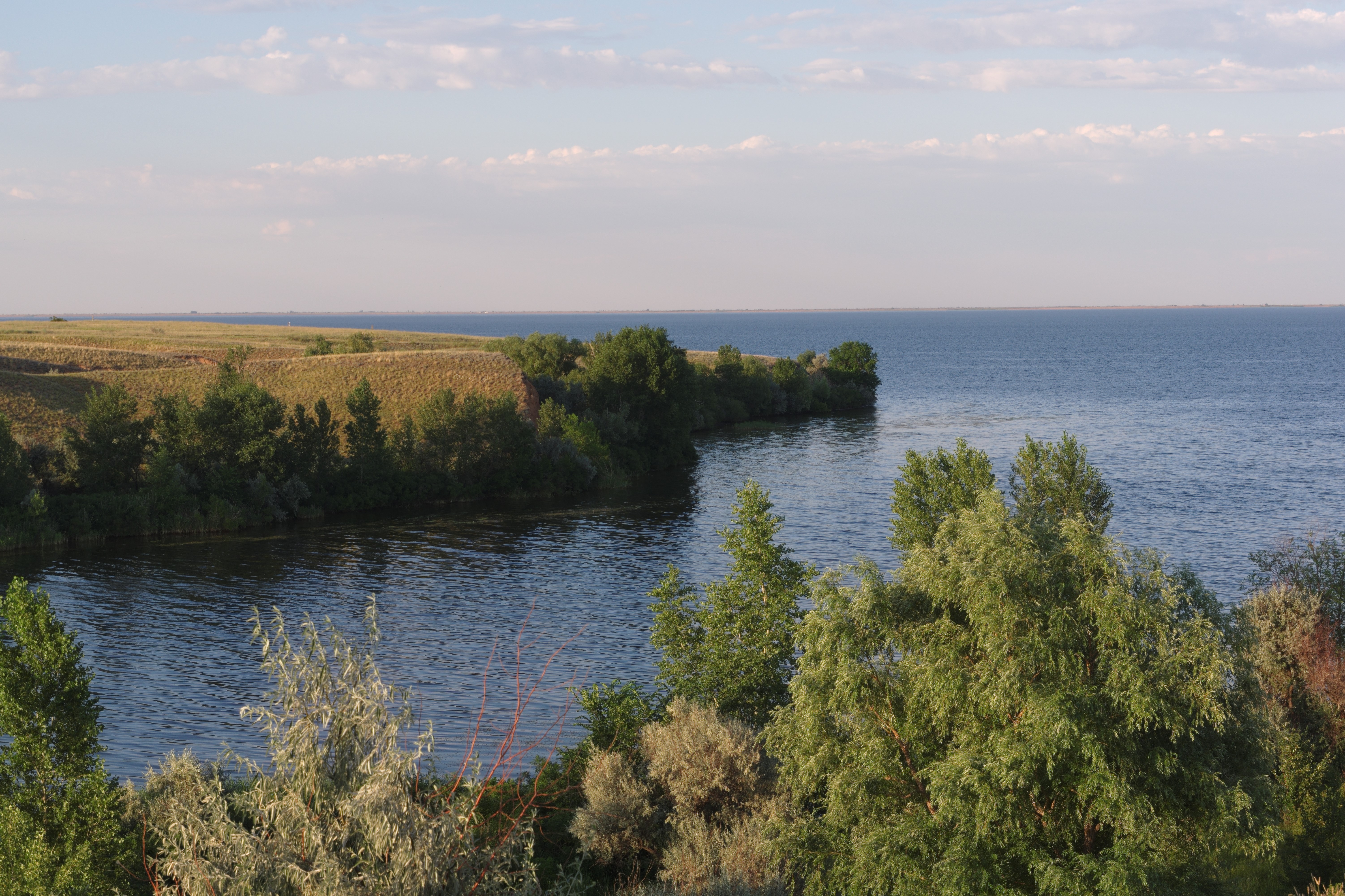 Water and trees by a bay under a clear sky HD Wallpaper